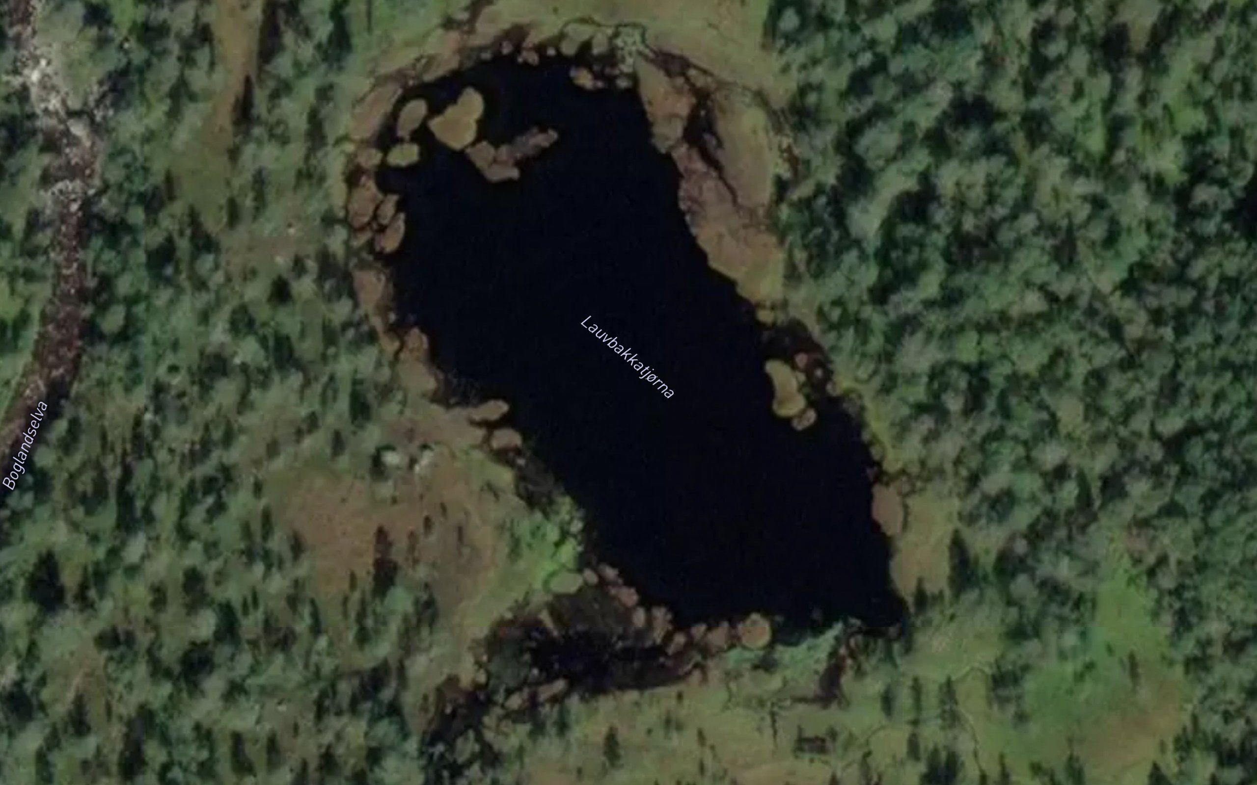 Lauvbakkatjorna