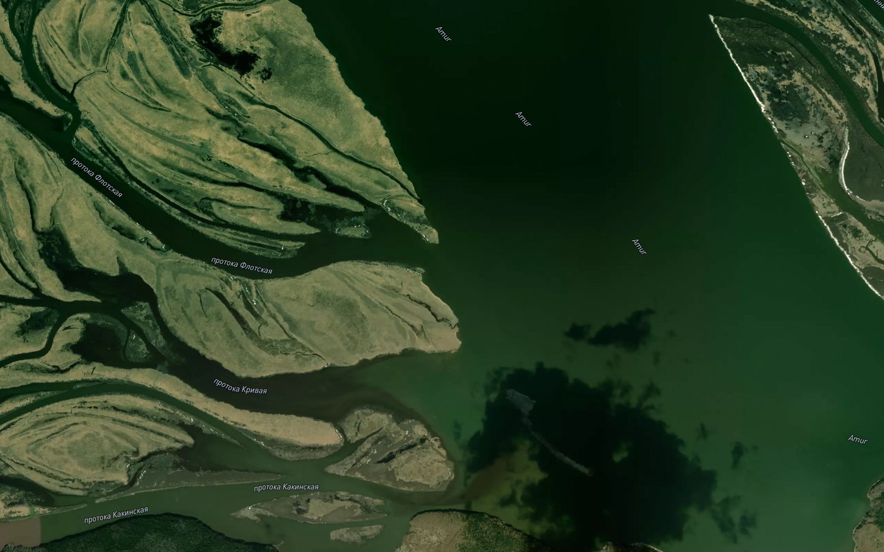 Satellite map of the Protoka Flotskaya
