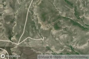 01N11E21D___01 Spring