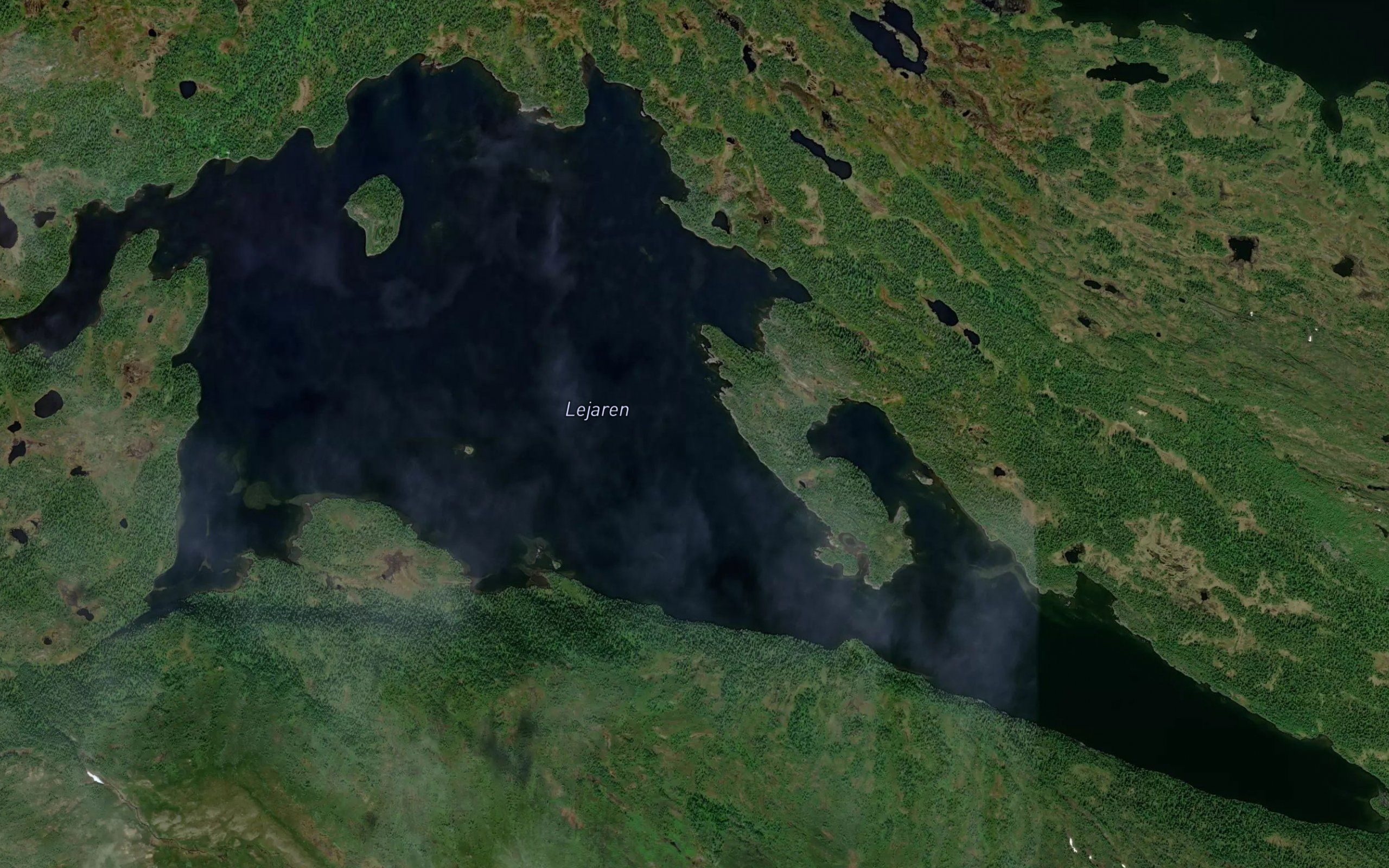 Lejaren