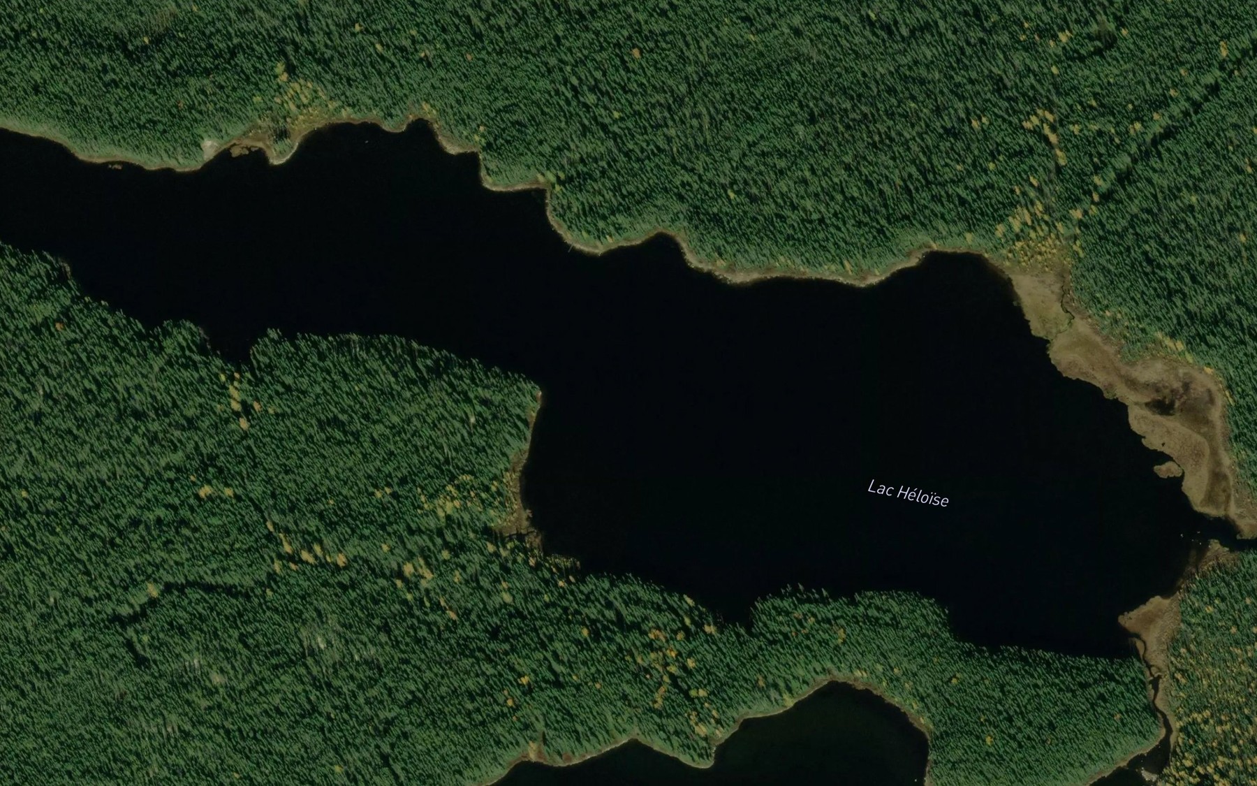 Satellite map of the Lac Heloise