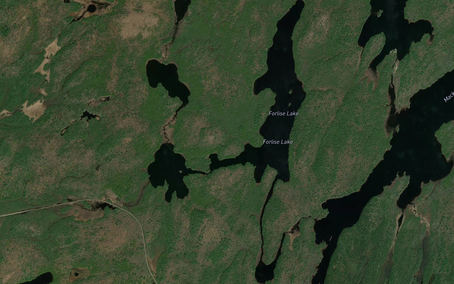 Satellite map of the Forlise Lake
