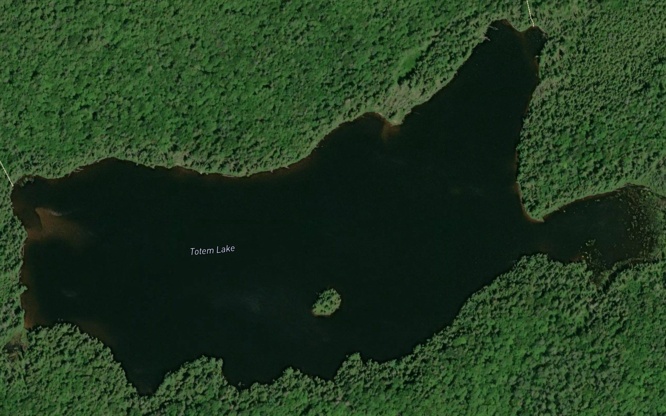 Totem Lake