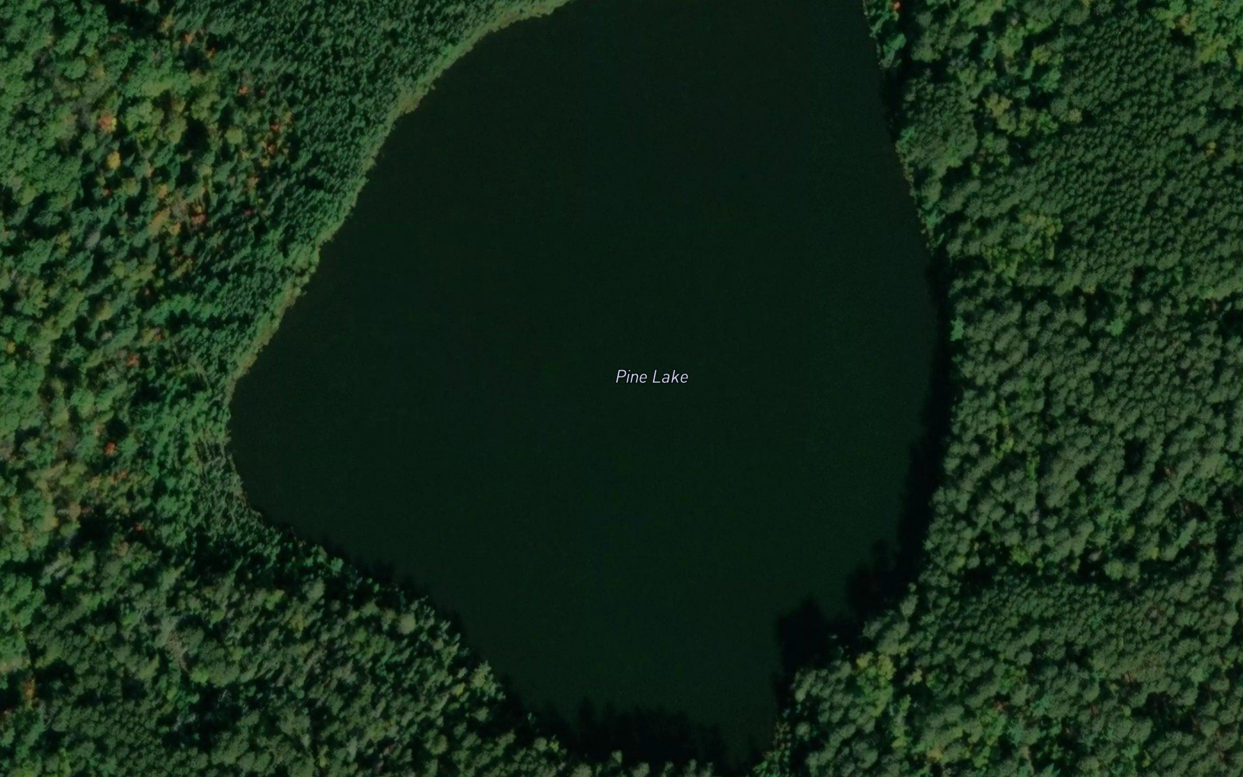 Pine Lake