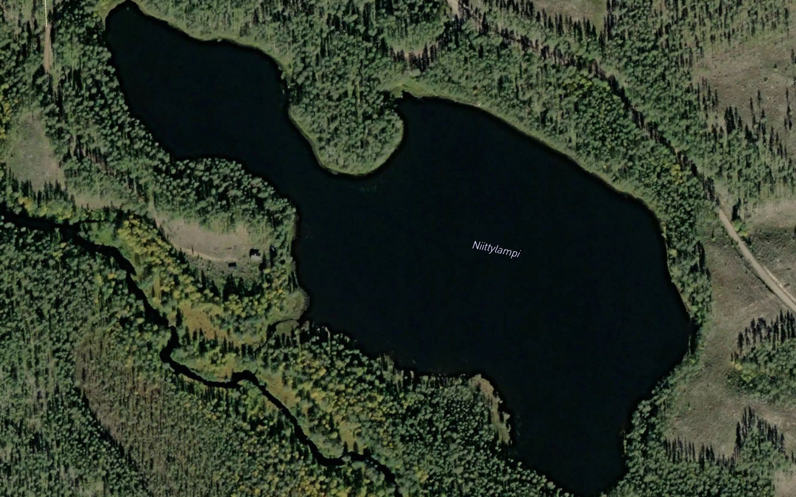 Niittylampi