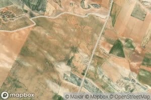 Balsete de Alejandrico