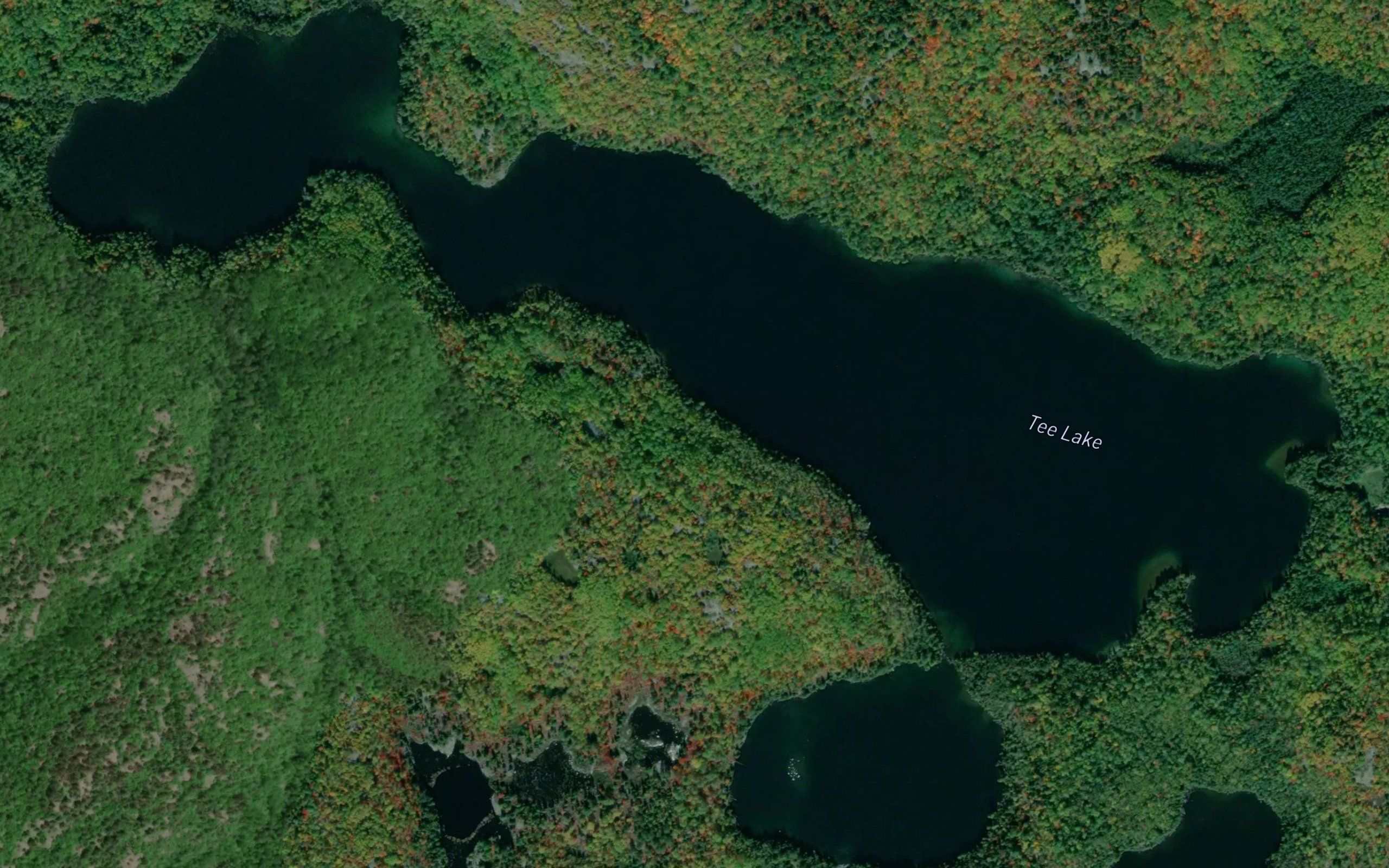 Tee Lake