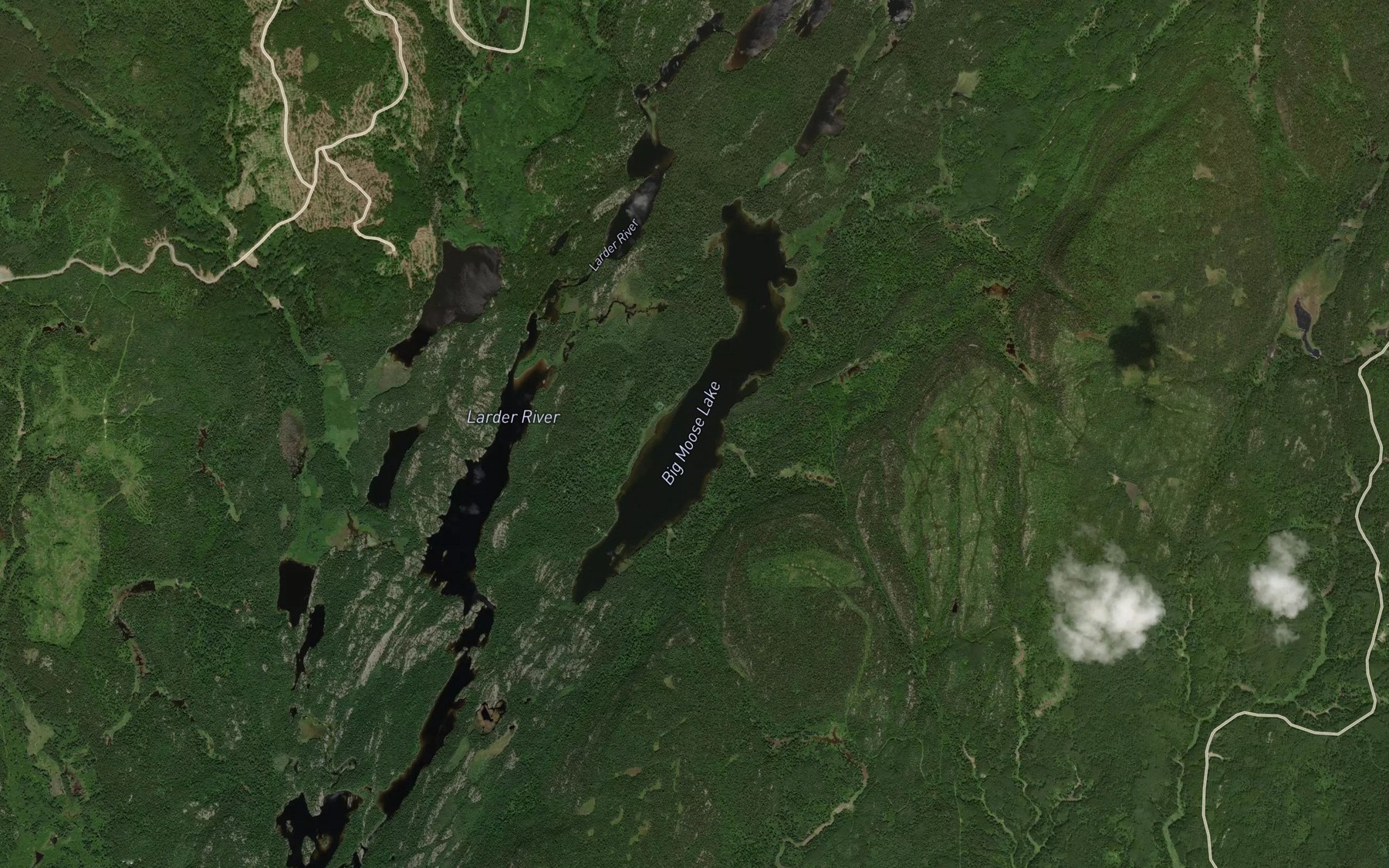 Satellite map of the Big Moose Lake