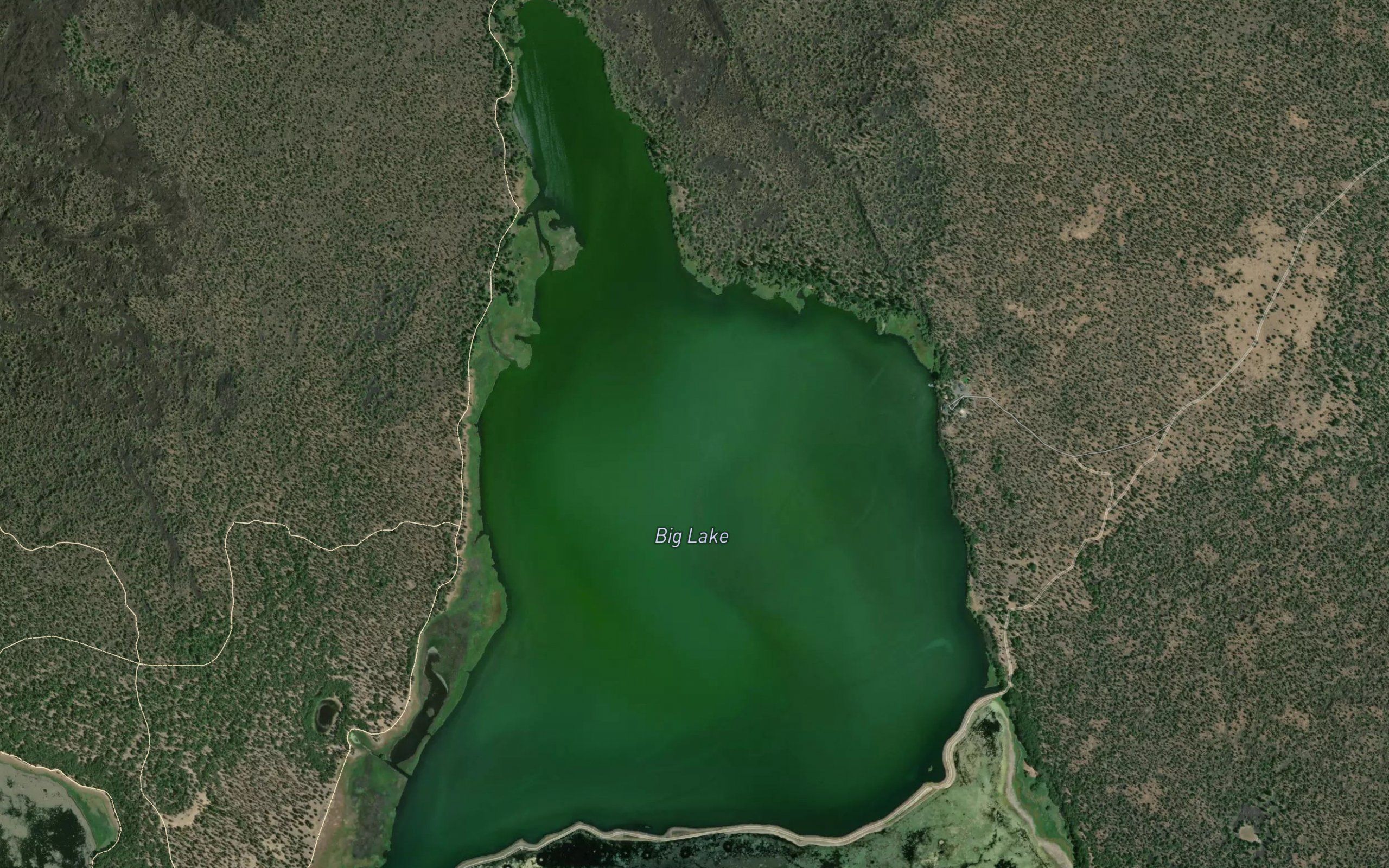 Big Lake