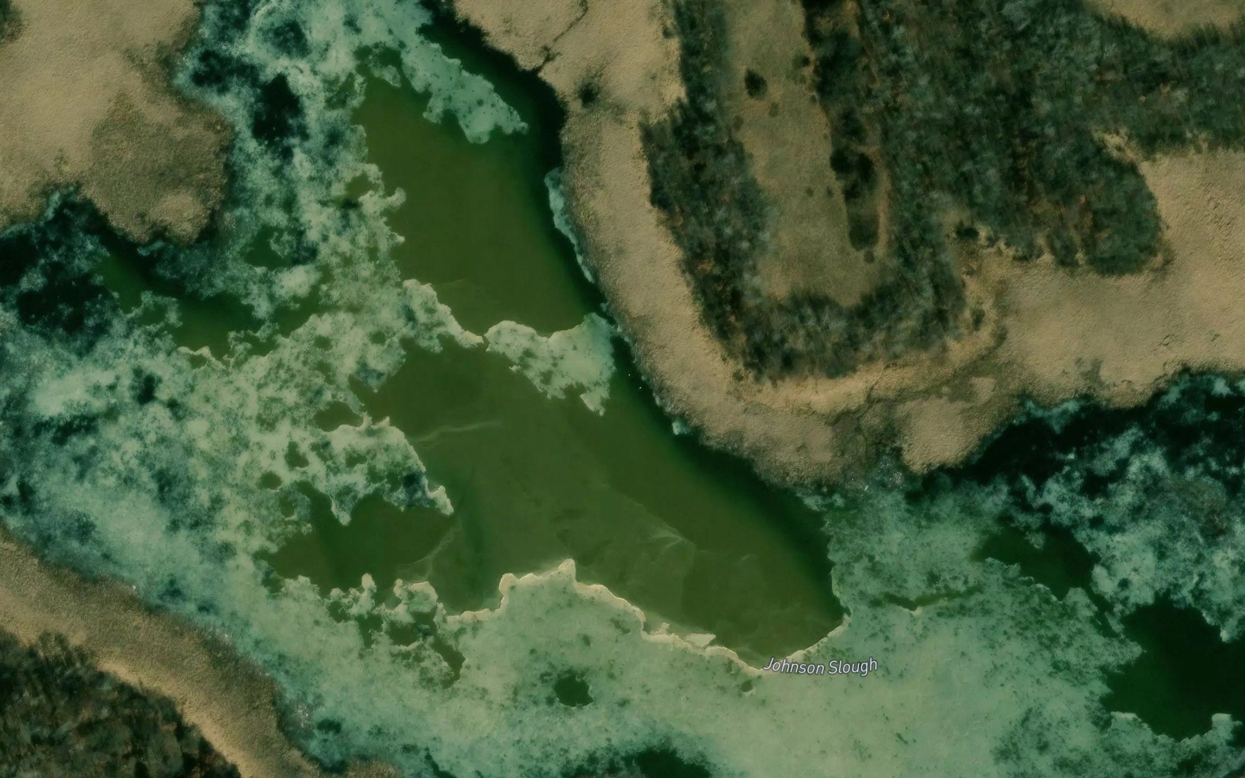 Johnson Slough