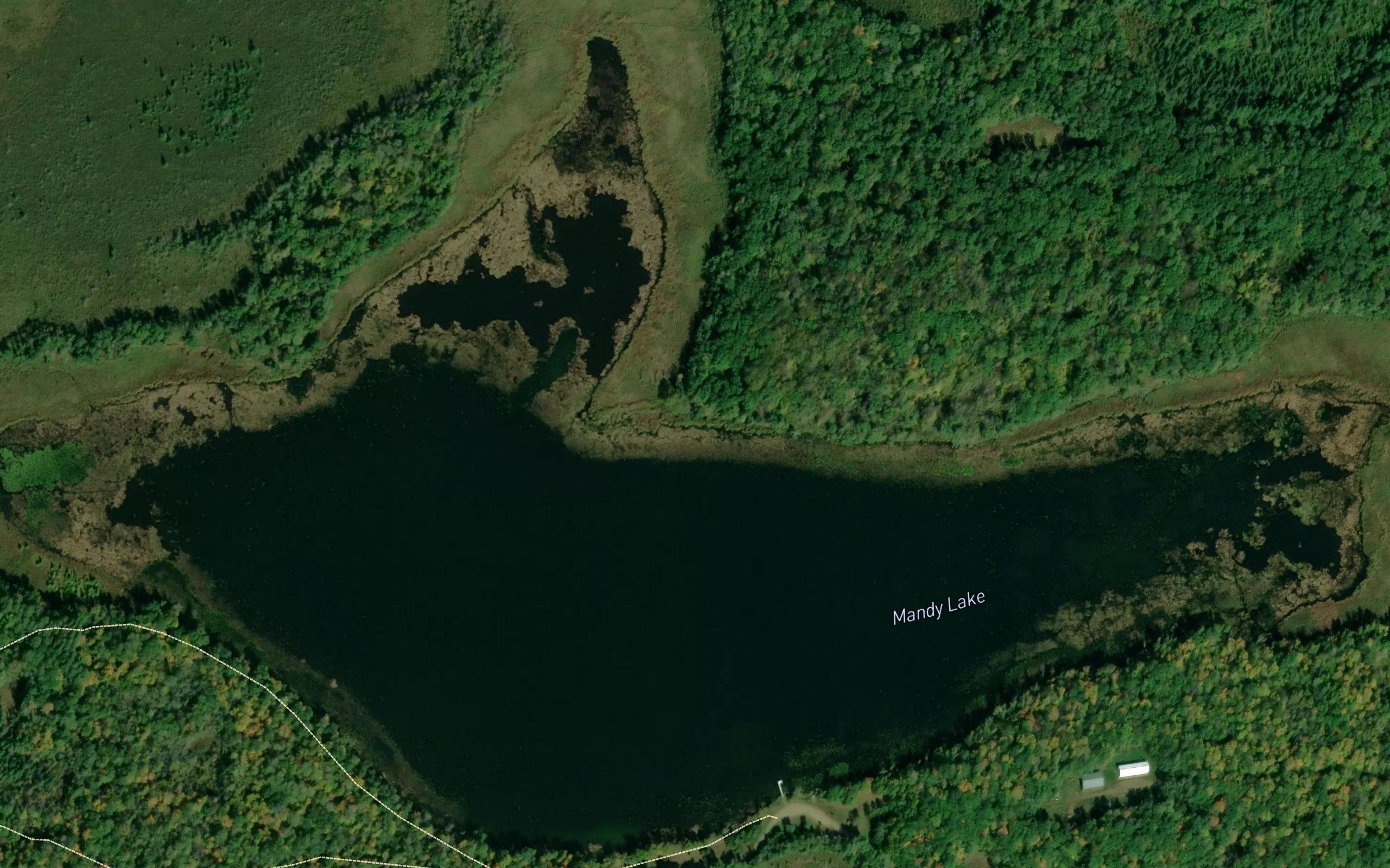 Mandy Lake