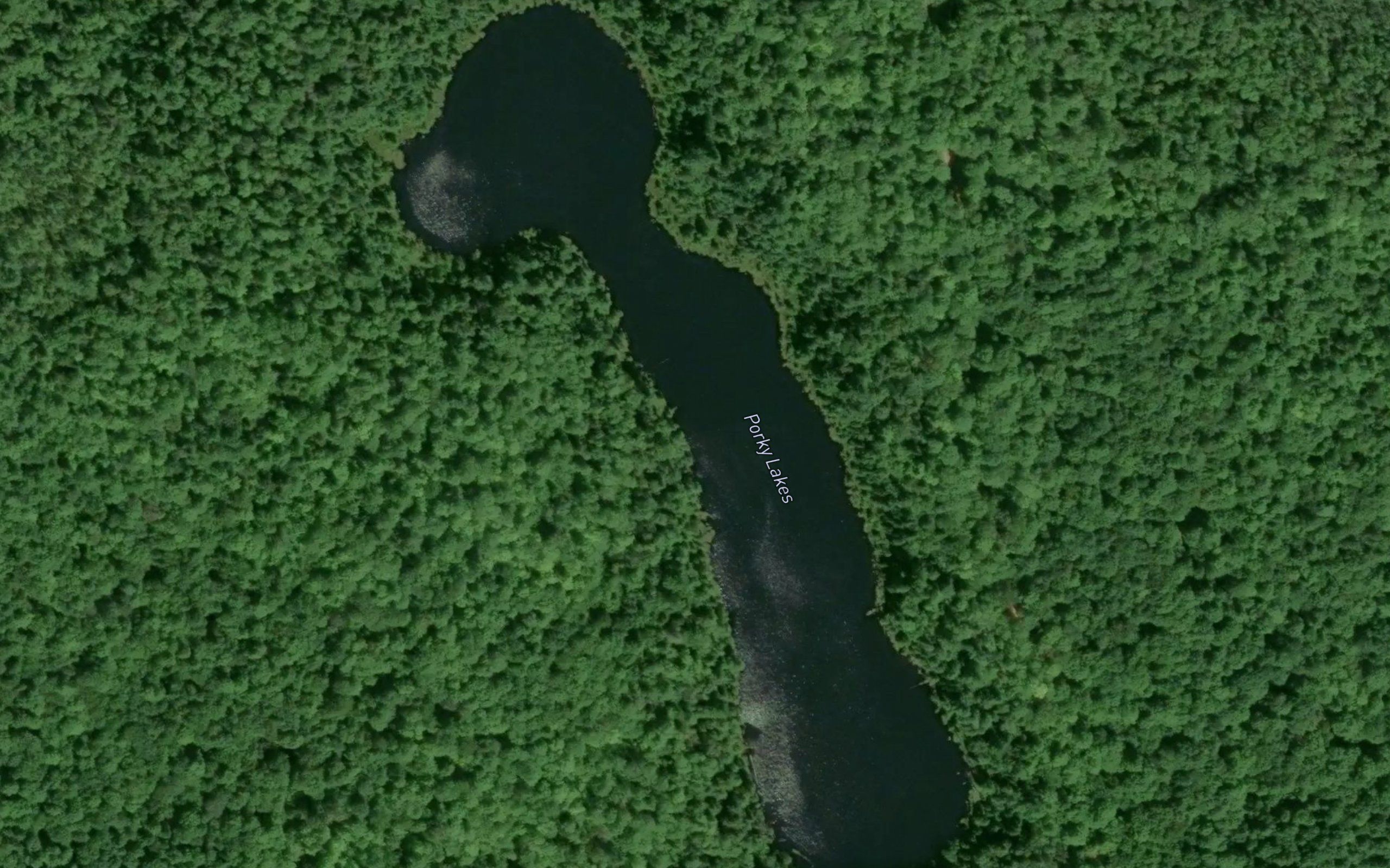 Porky Lakes