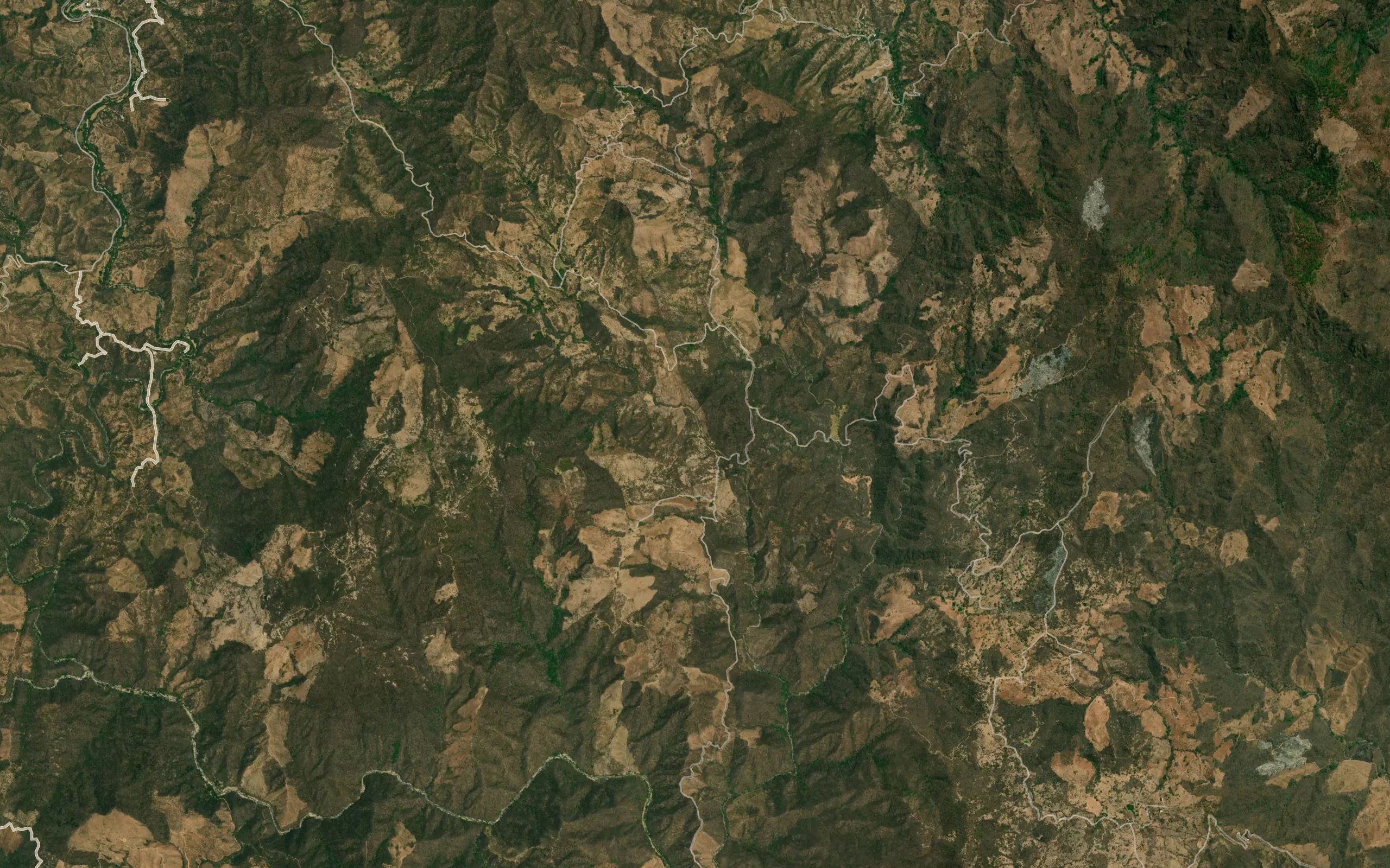 Barranca Verde