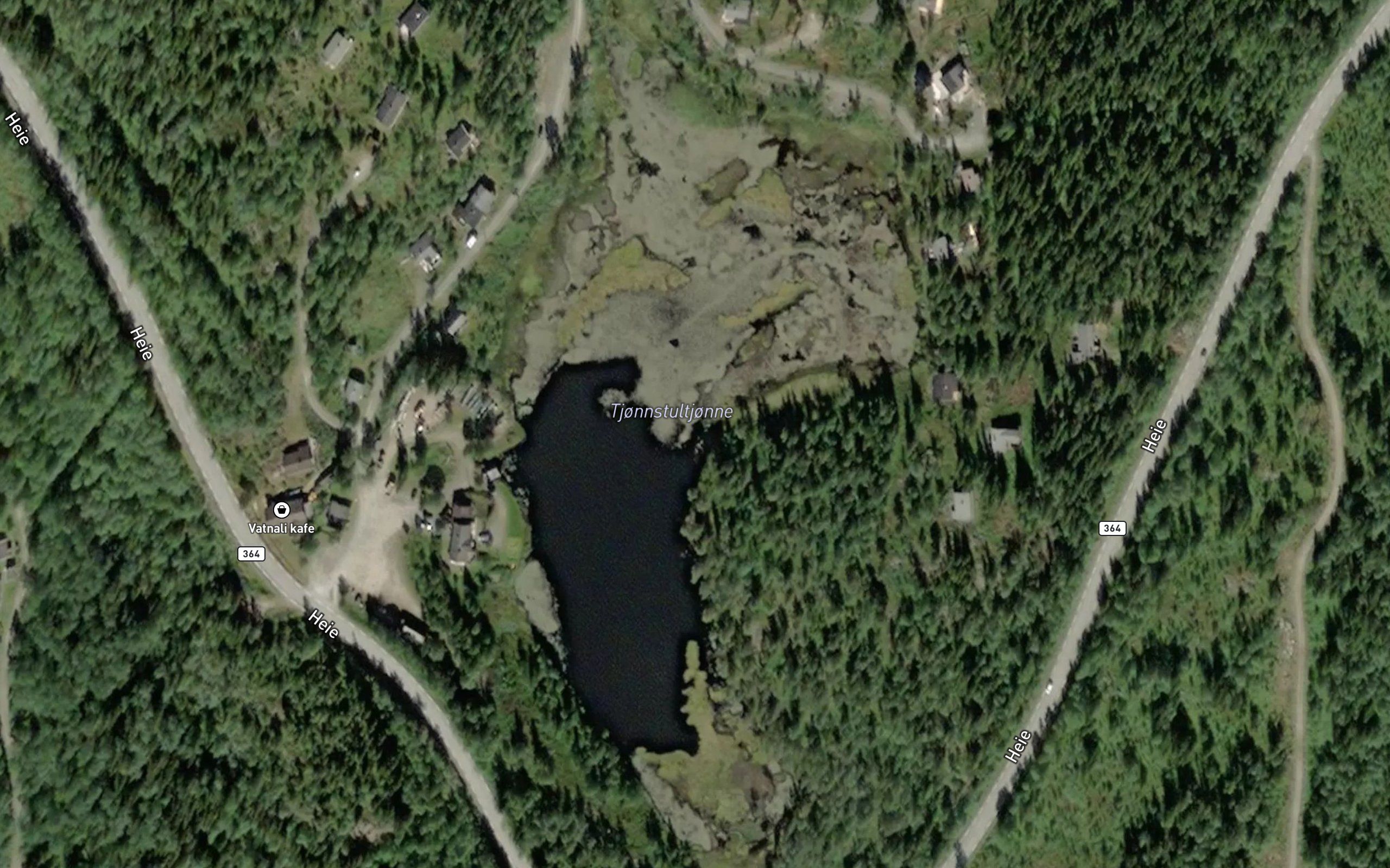 Tjonnstultjonne