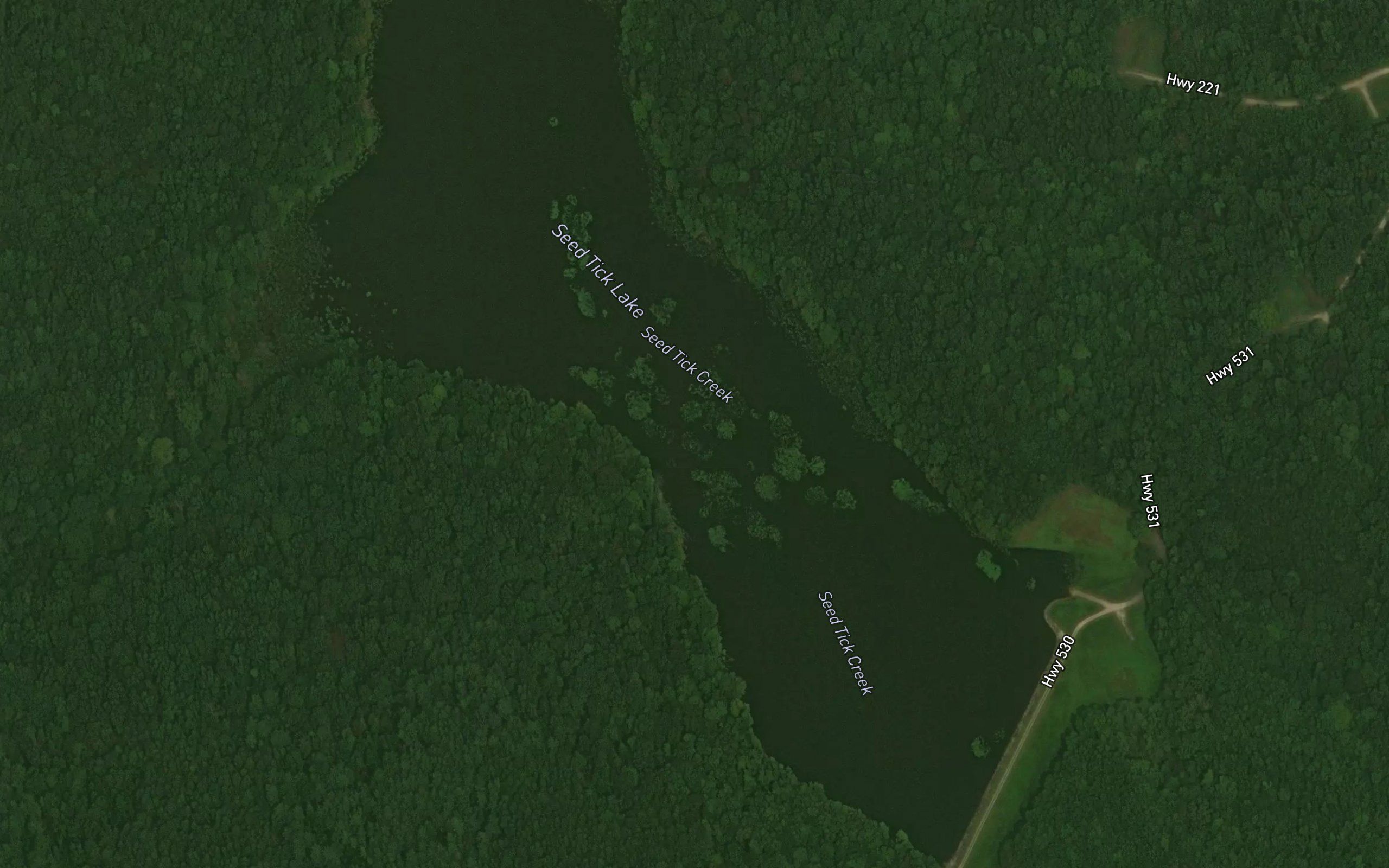 Seed Tick Lake