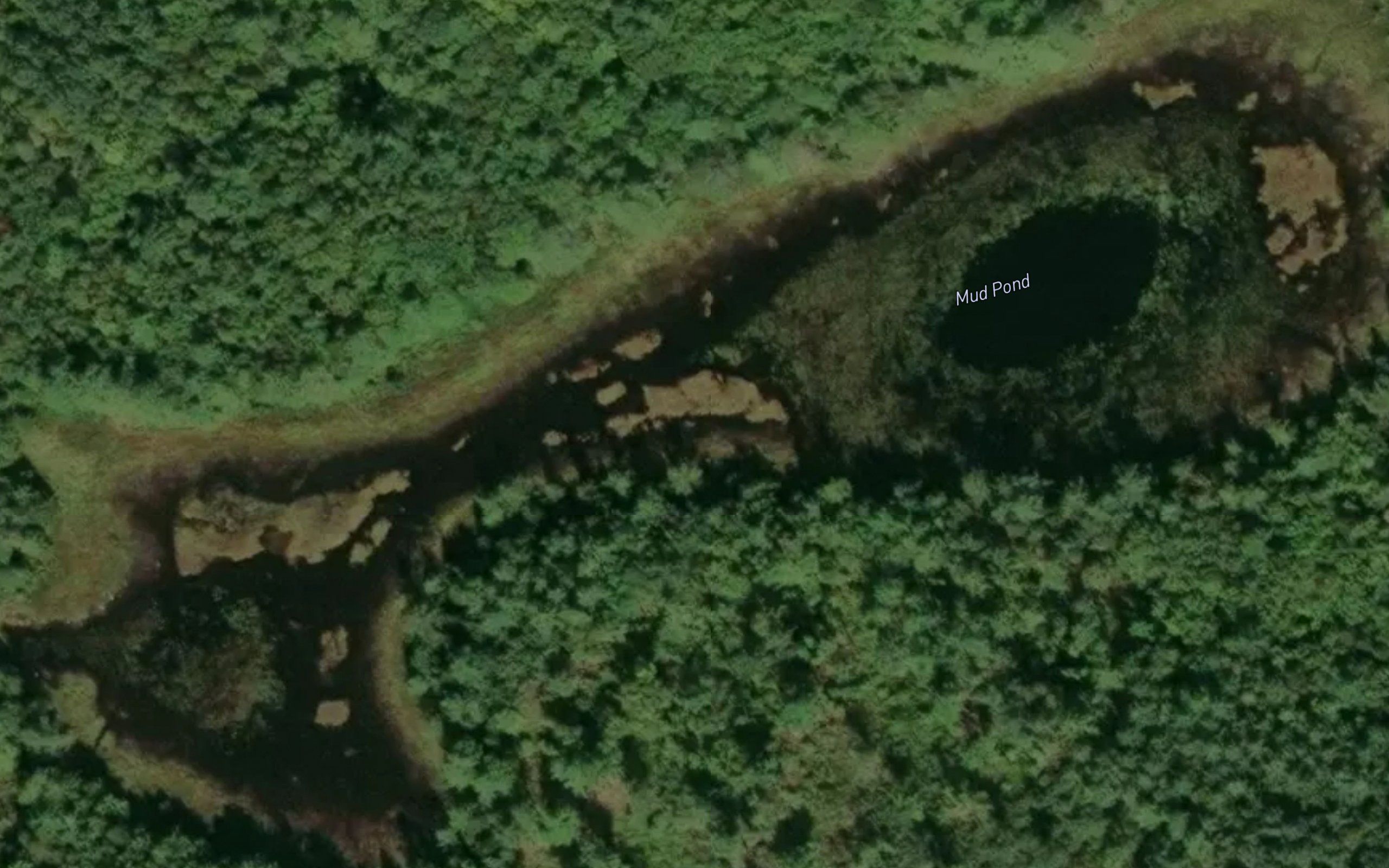 Mud Pond