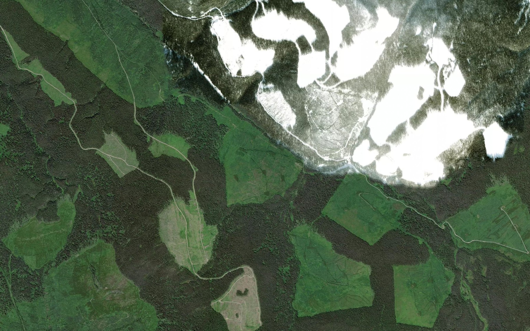 Satellite map of the Carruthers Creek