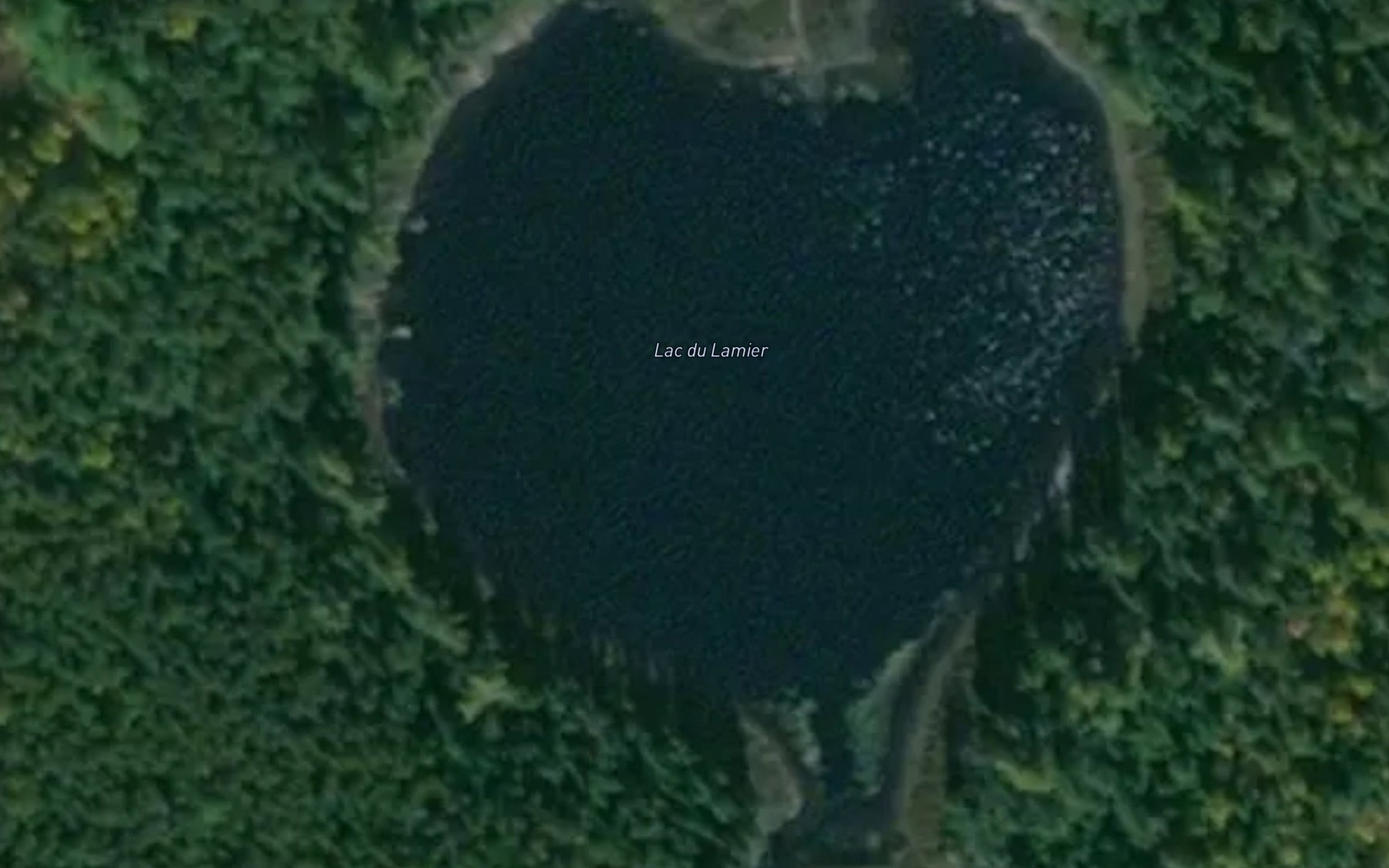 Satellite map of the Lac du Lamier