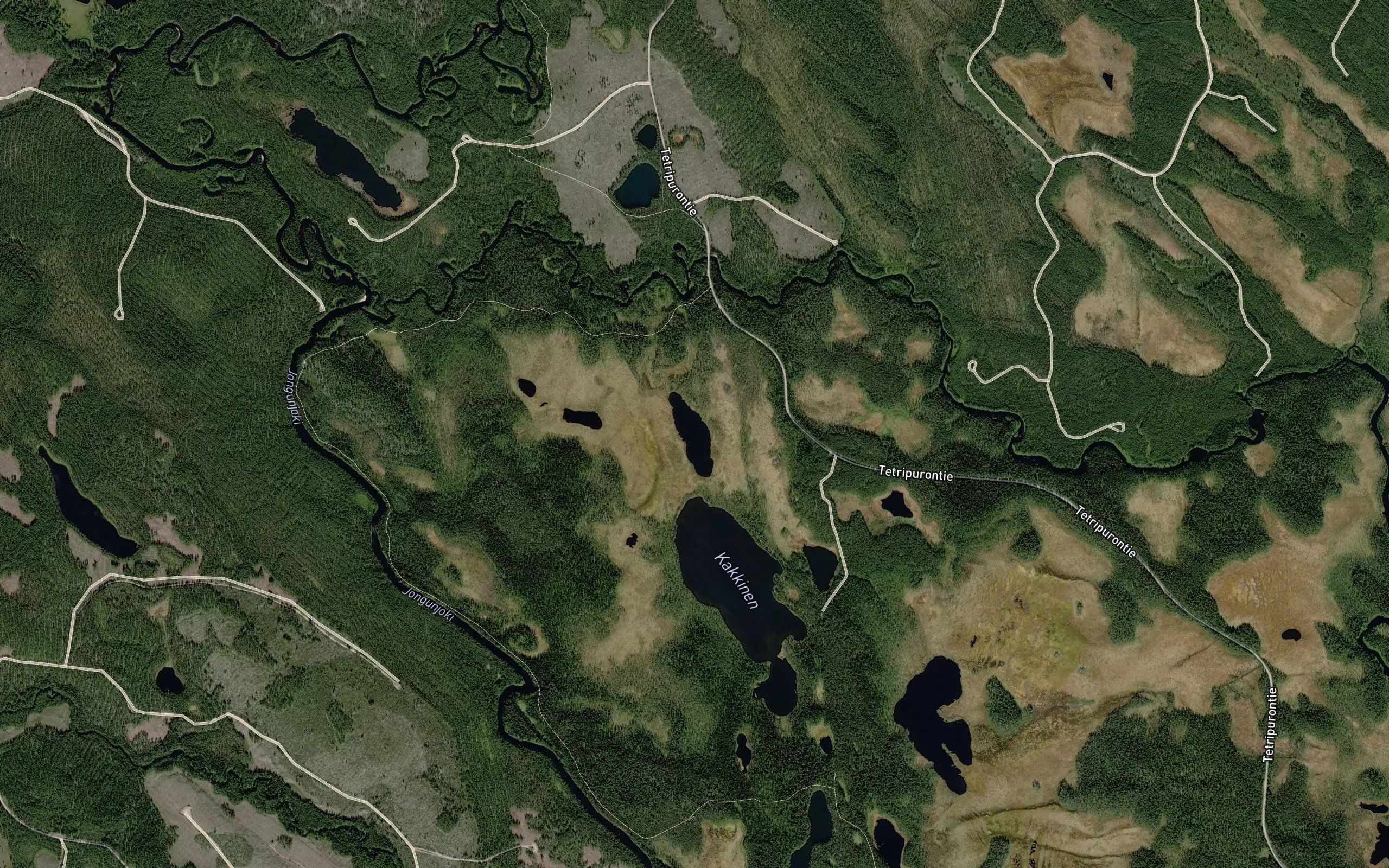 Sankkinen