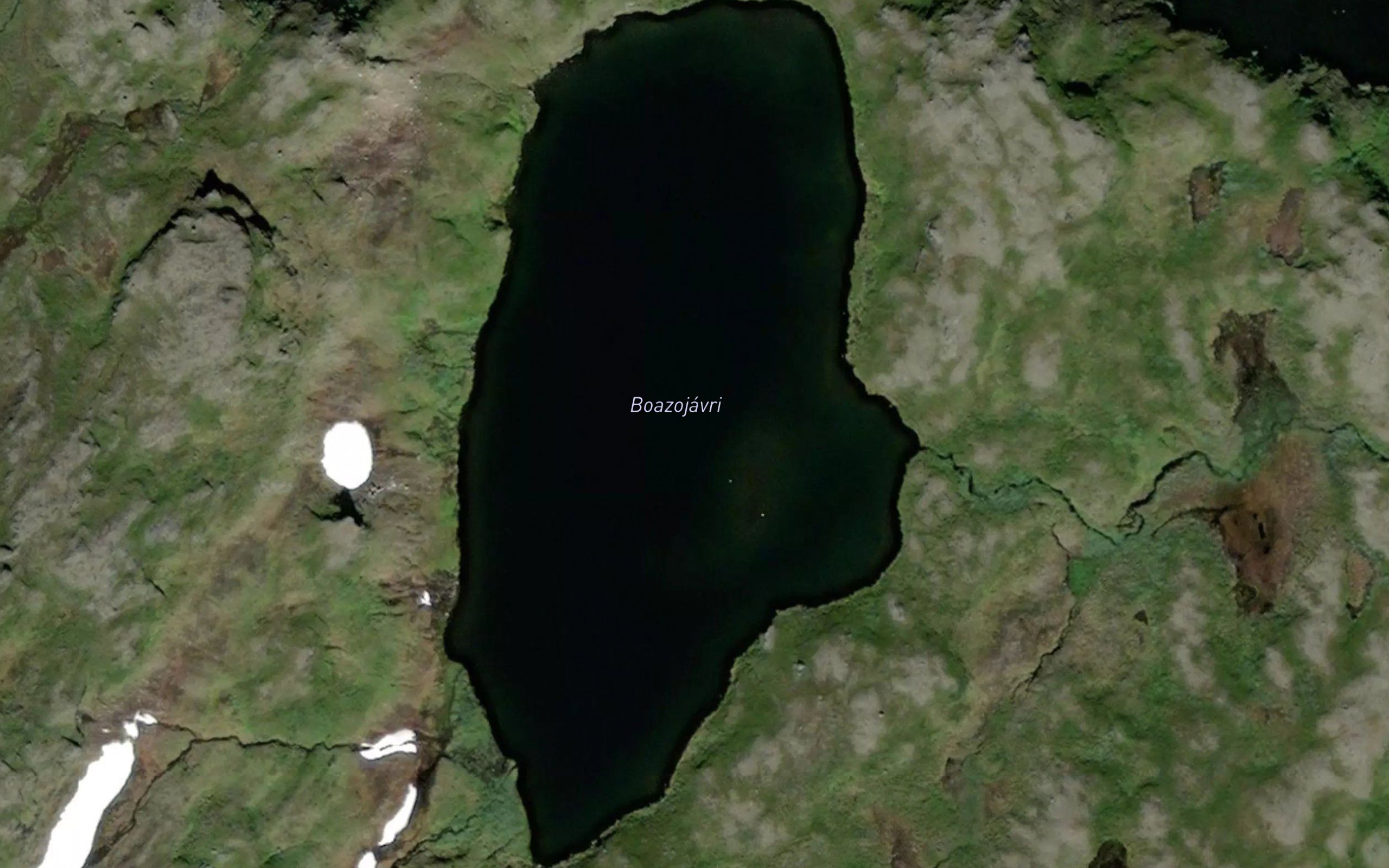 Boazojavri