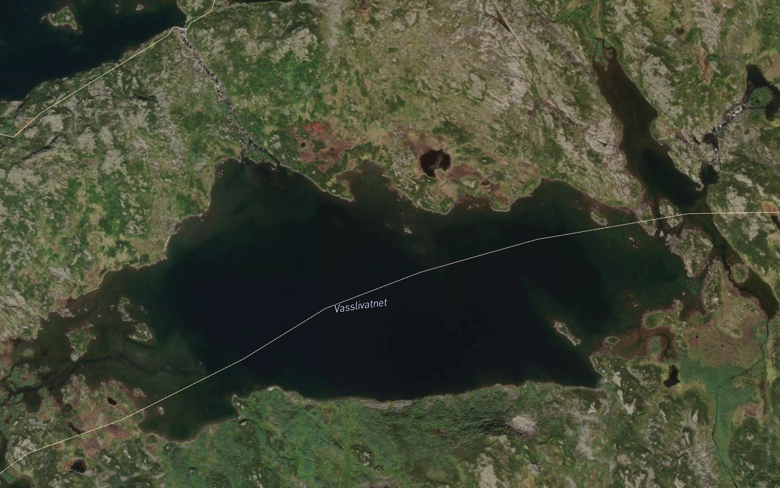 Vasslivatnet