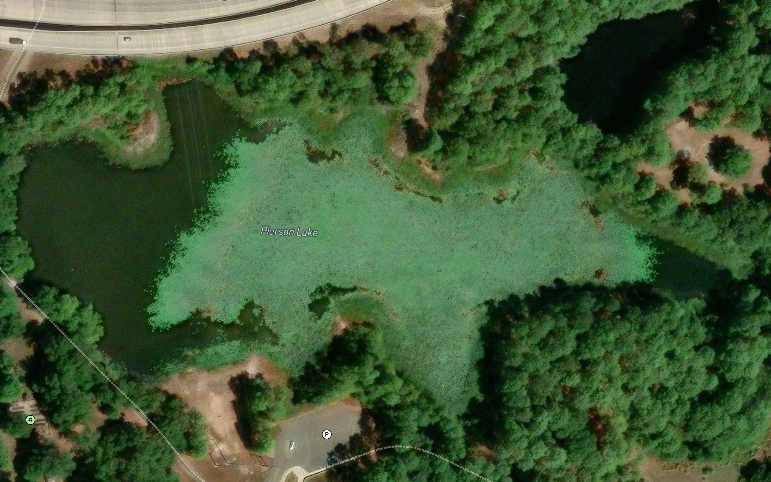 Pierson Lake