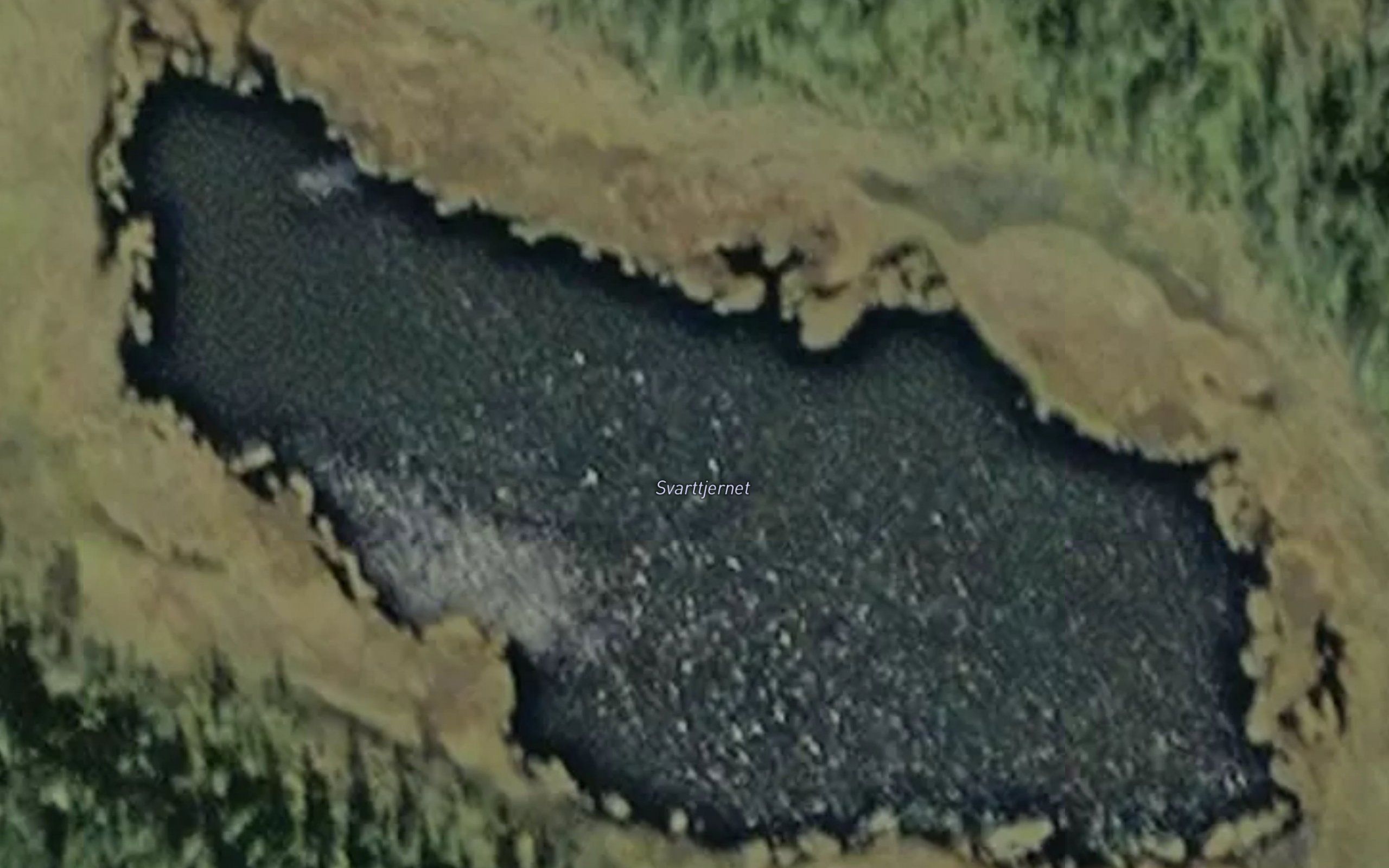Svarttjernet