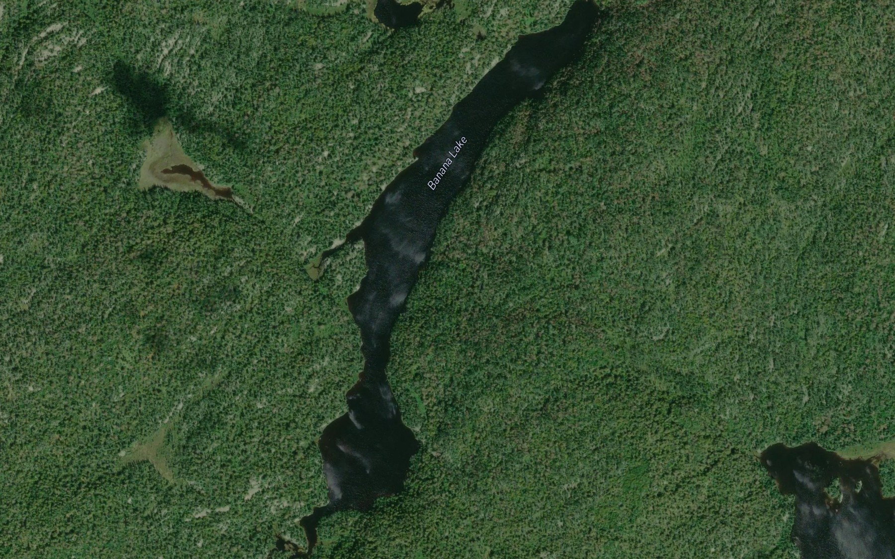 Satellite map of the Banana Lake