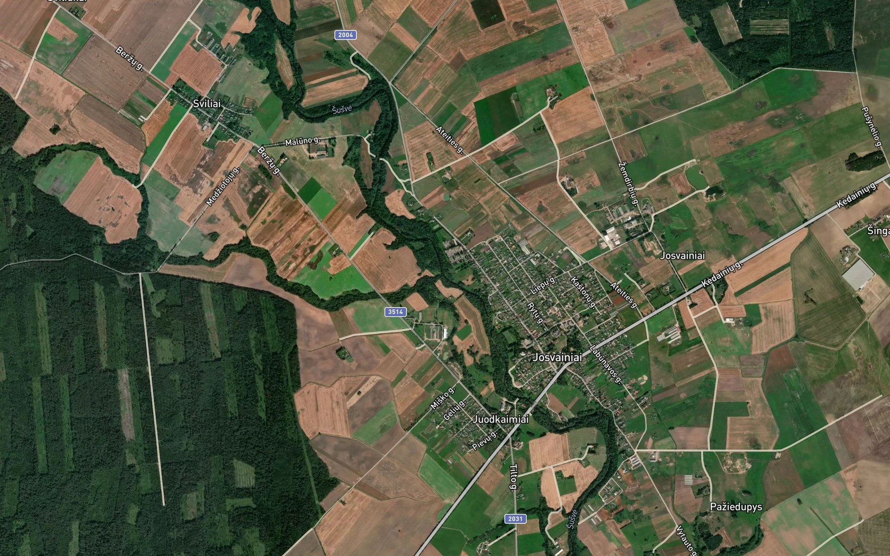 Satellite map of the Liedas