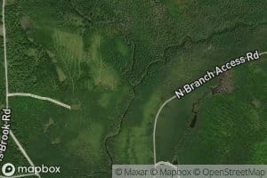 Middle Branch Norris Brook