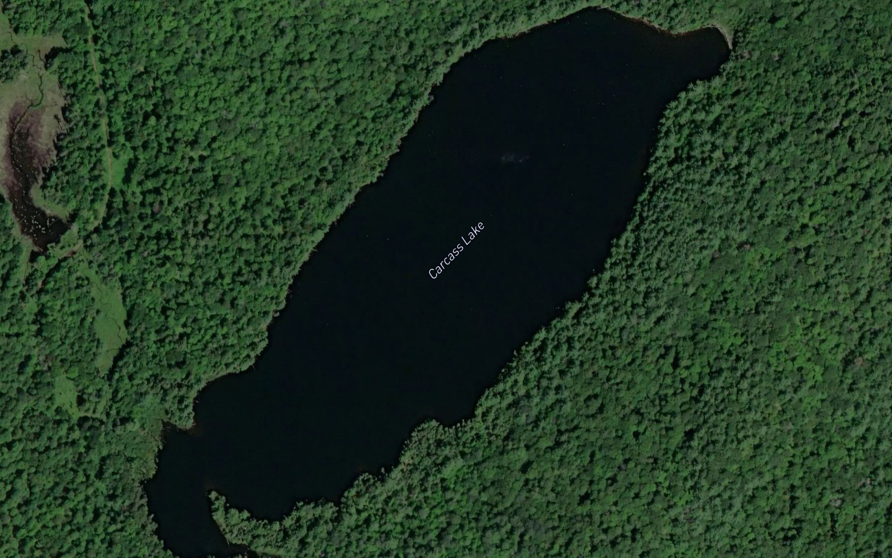 Satellite map of the Carcass Lake