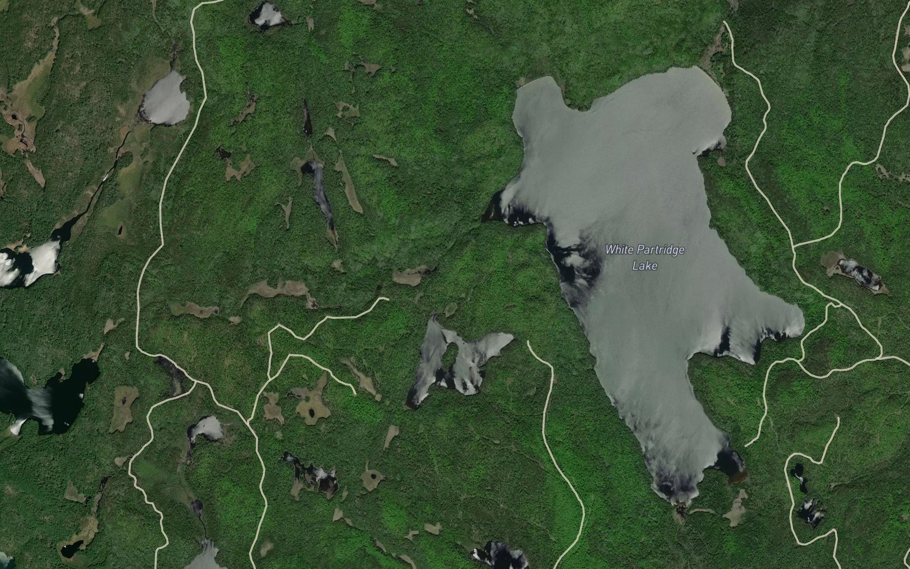 Satellite map of the Shangashi Creek