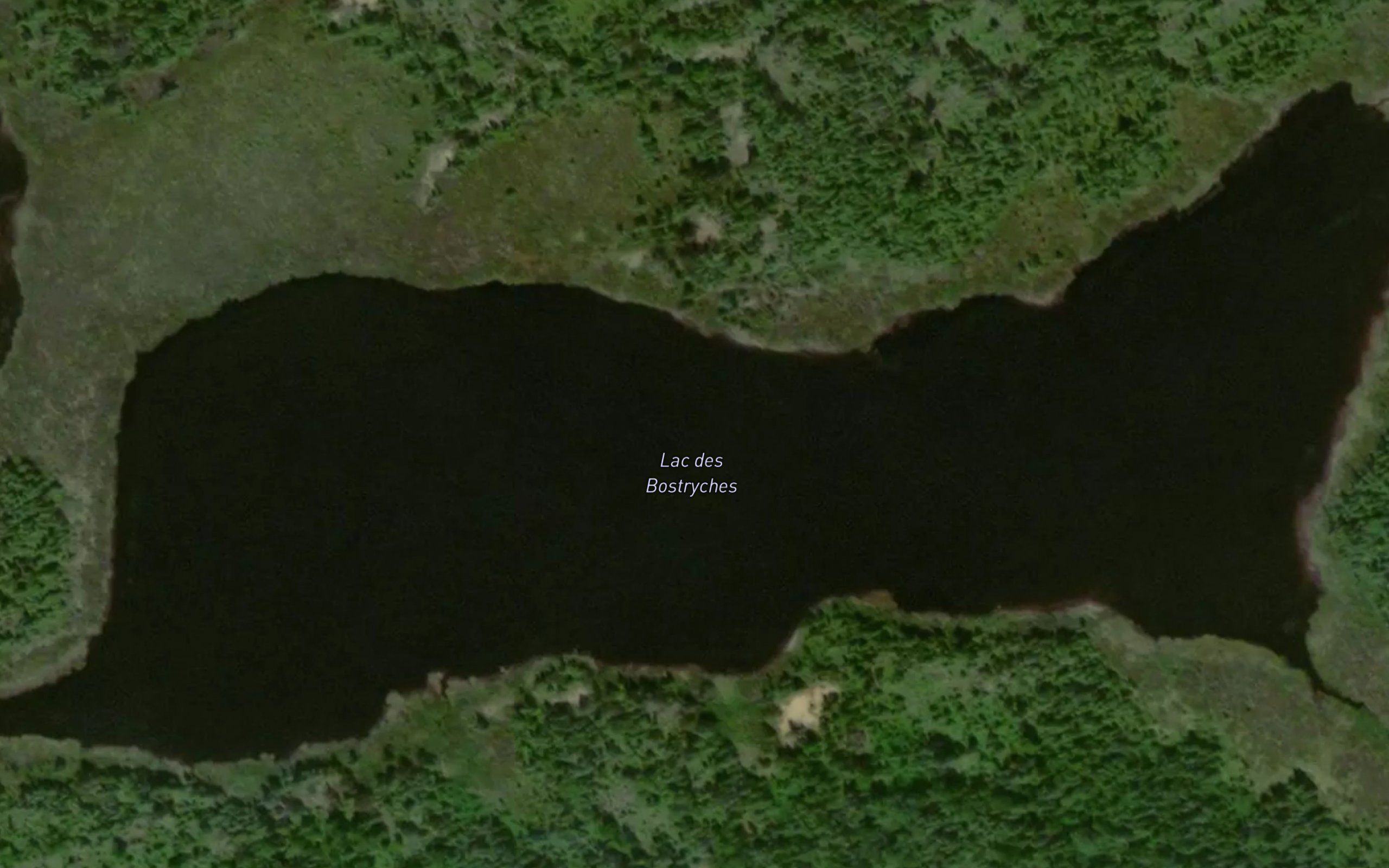 Lac des Bostryches