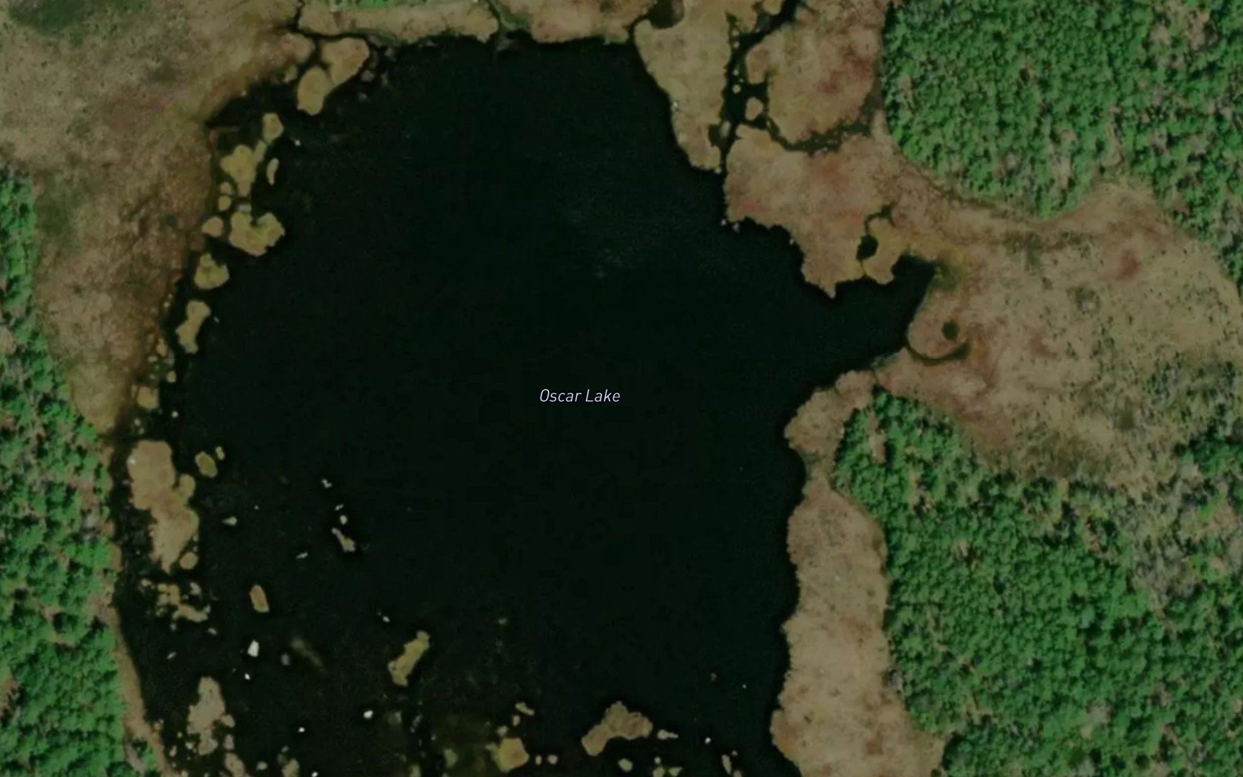 Oscar Lake