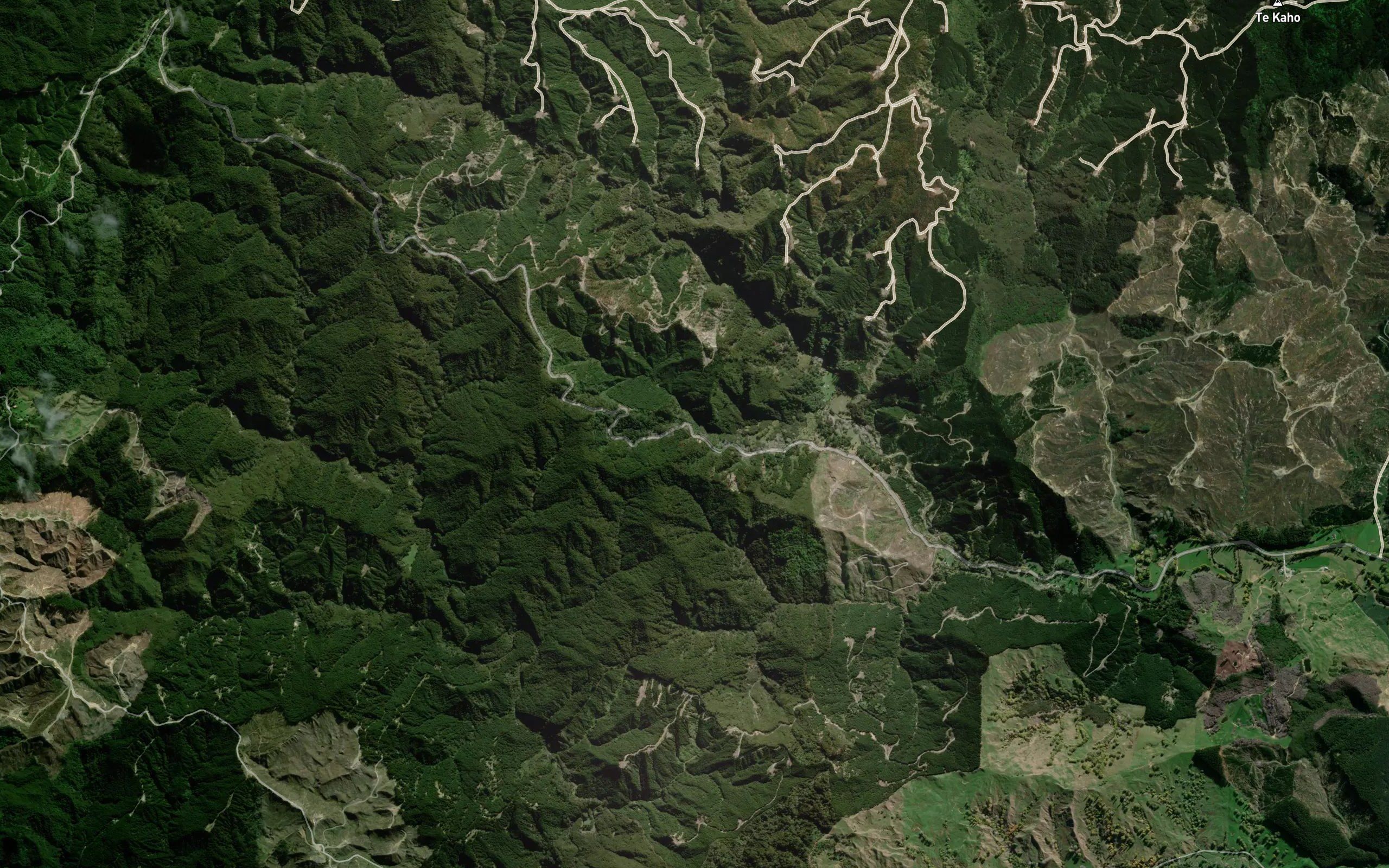 Waikairo Stream