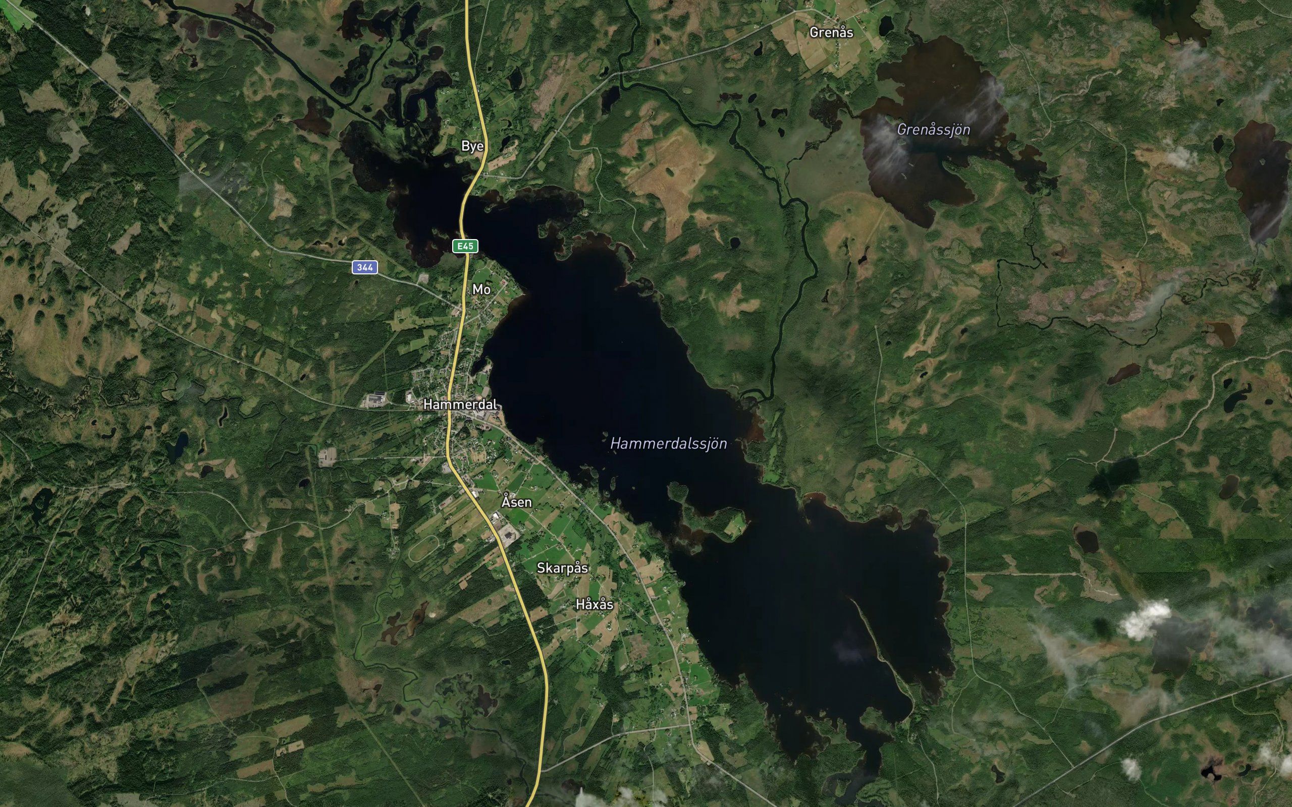 Hammerdalssjon