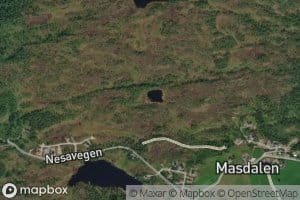 Blekatjorn