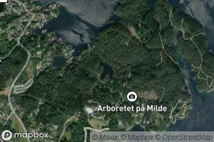 Morkevatnet