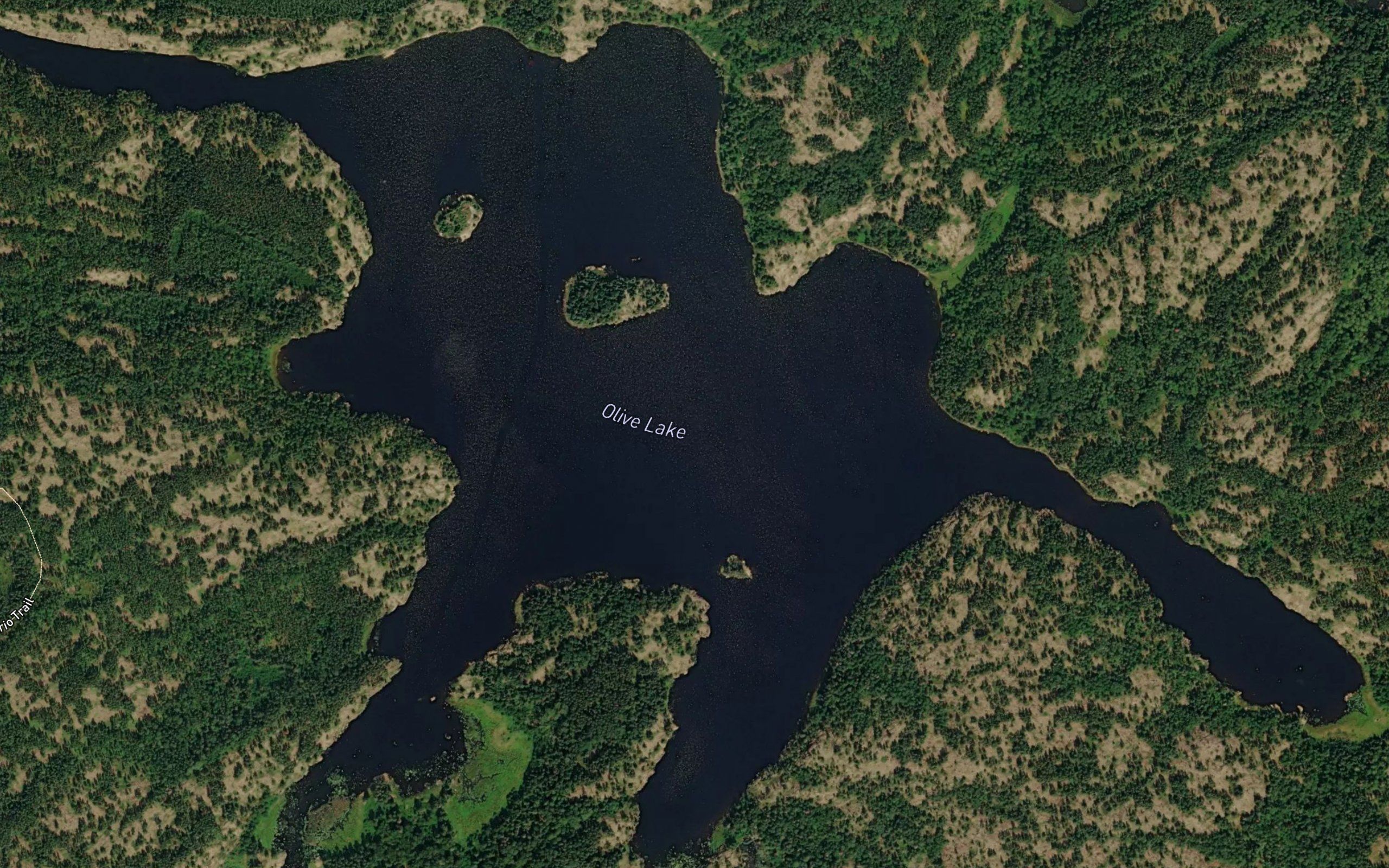 Olive Lake