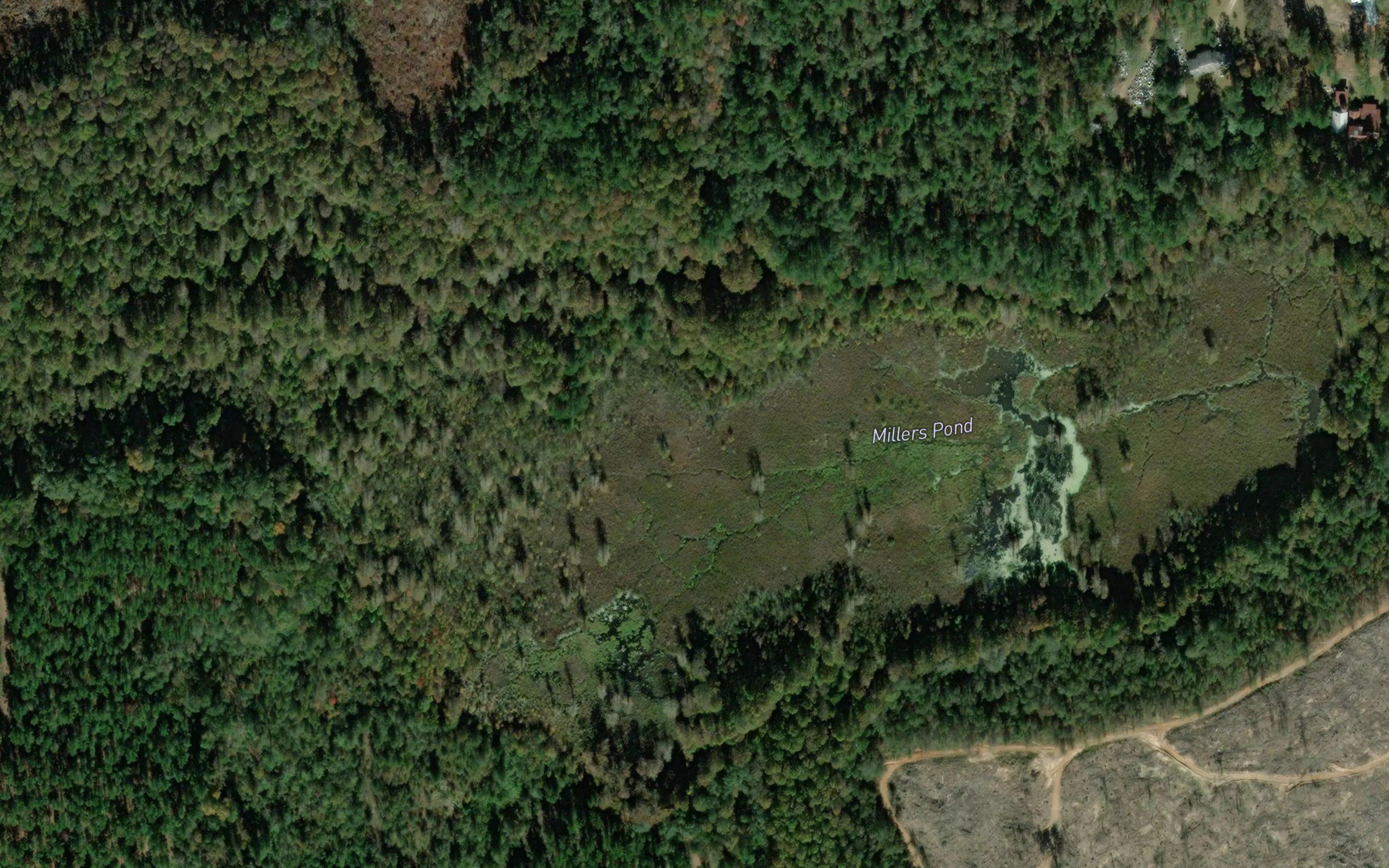 Millers Pond