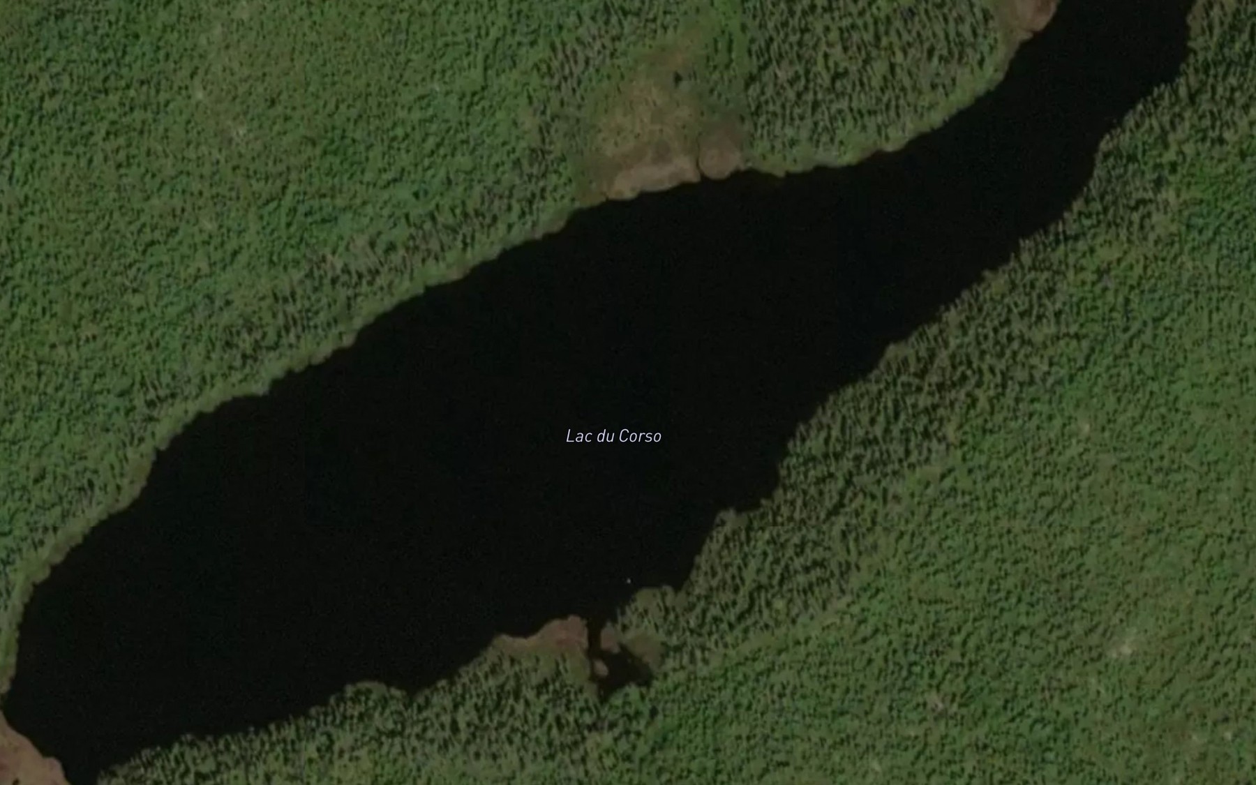 Satellite map of the Lac du Corso