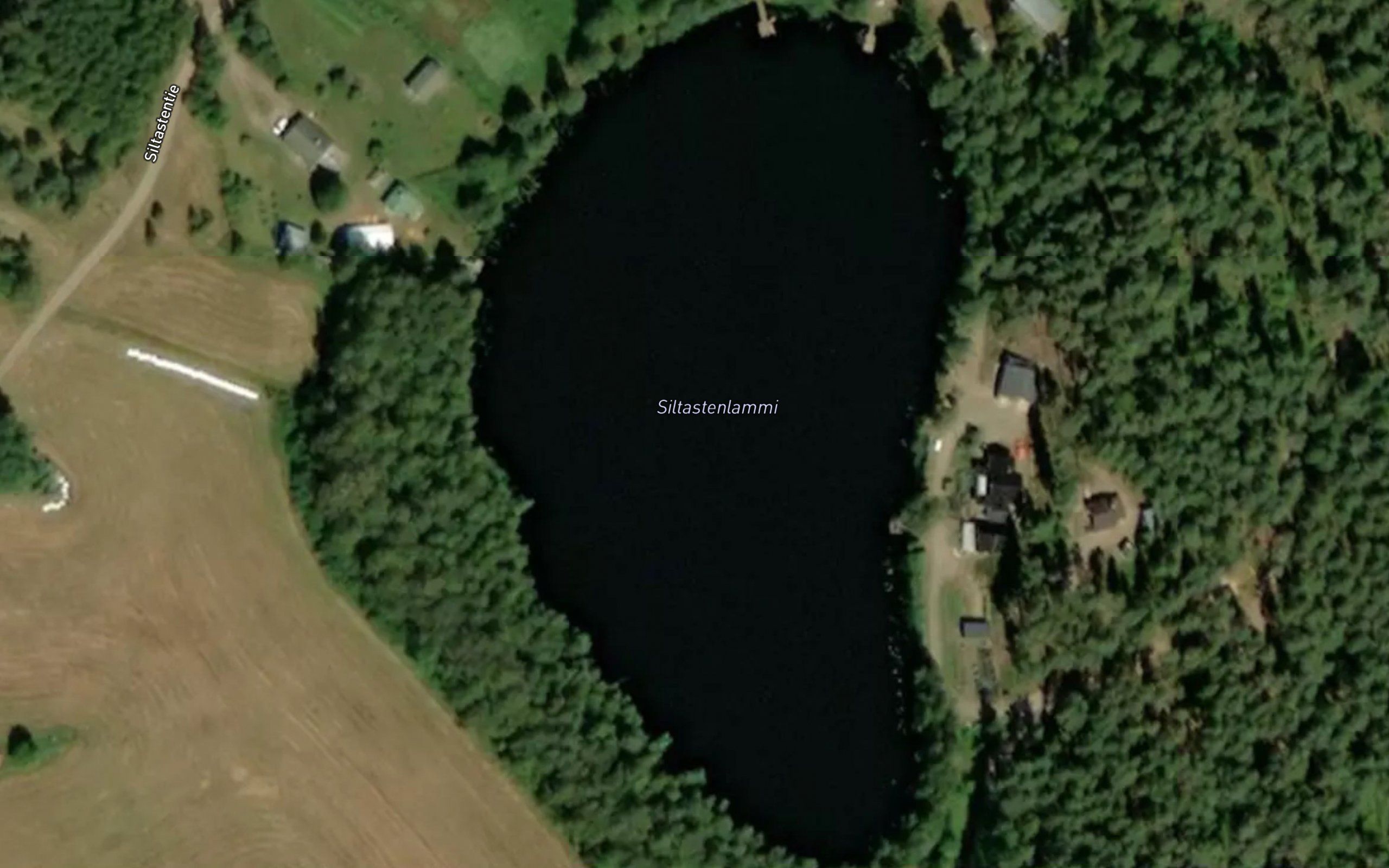 Siltastenlammi