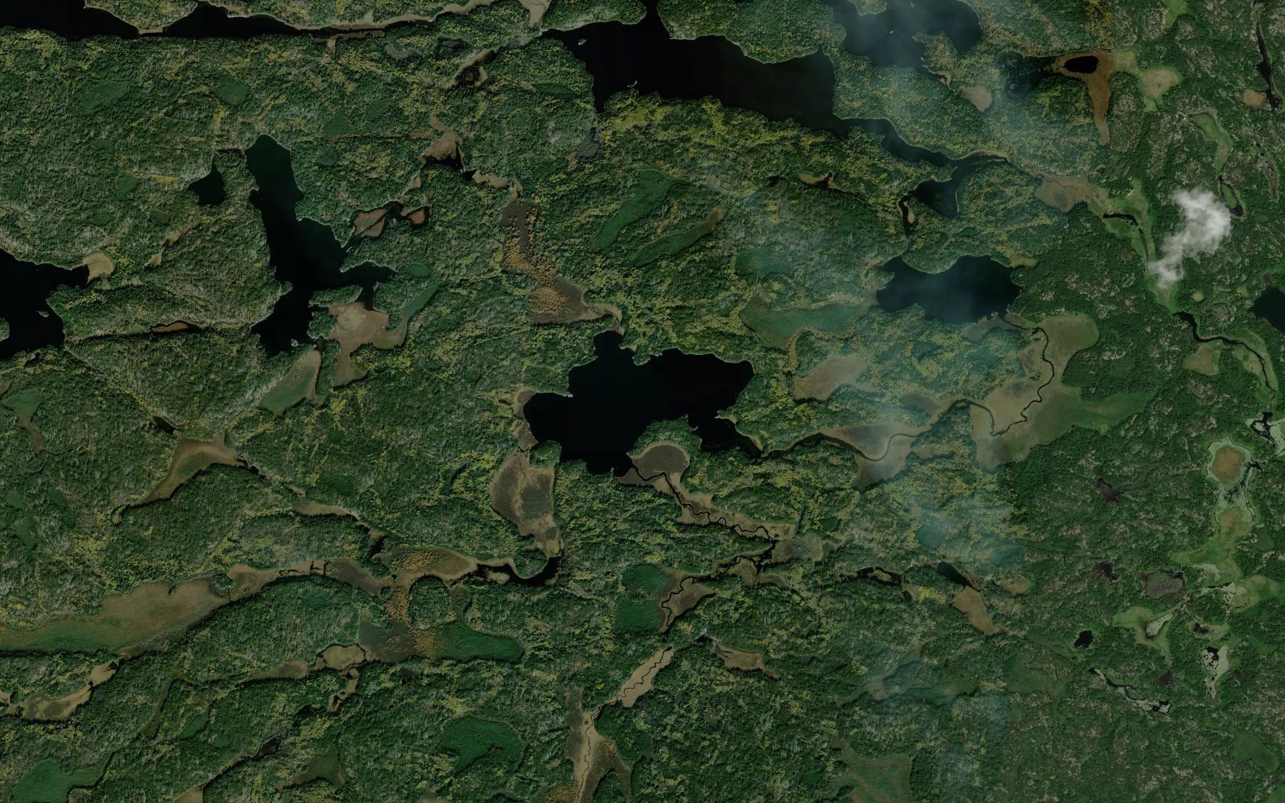 Seymore Lake