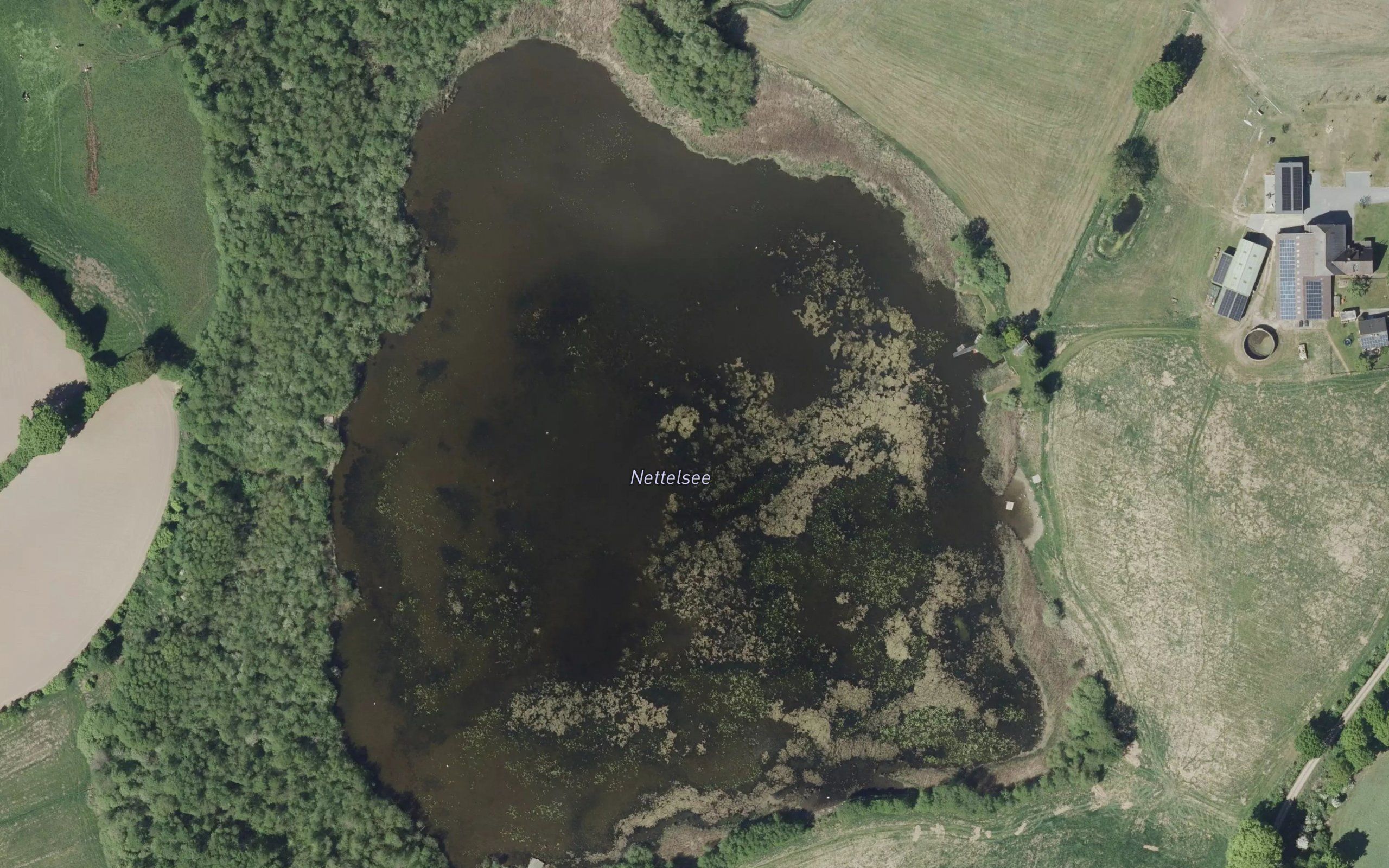 Nettelsee
