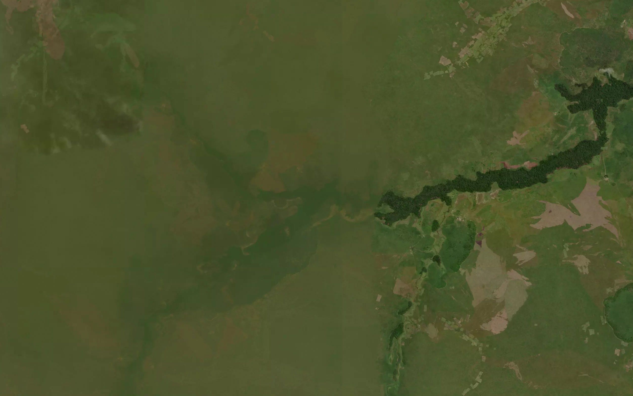 Kapemba