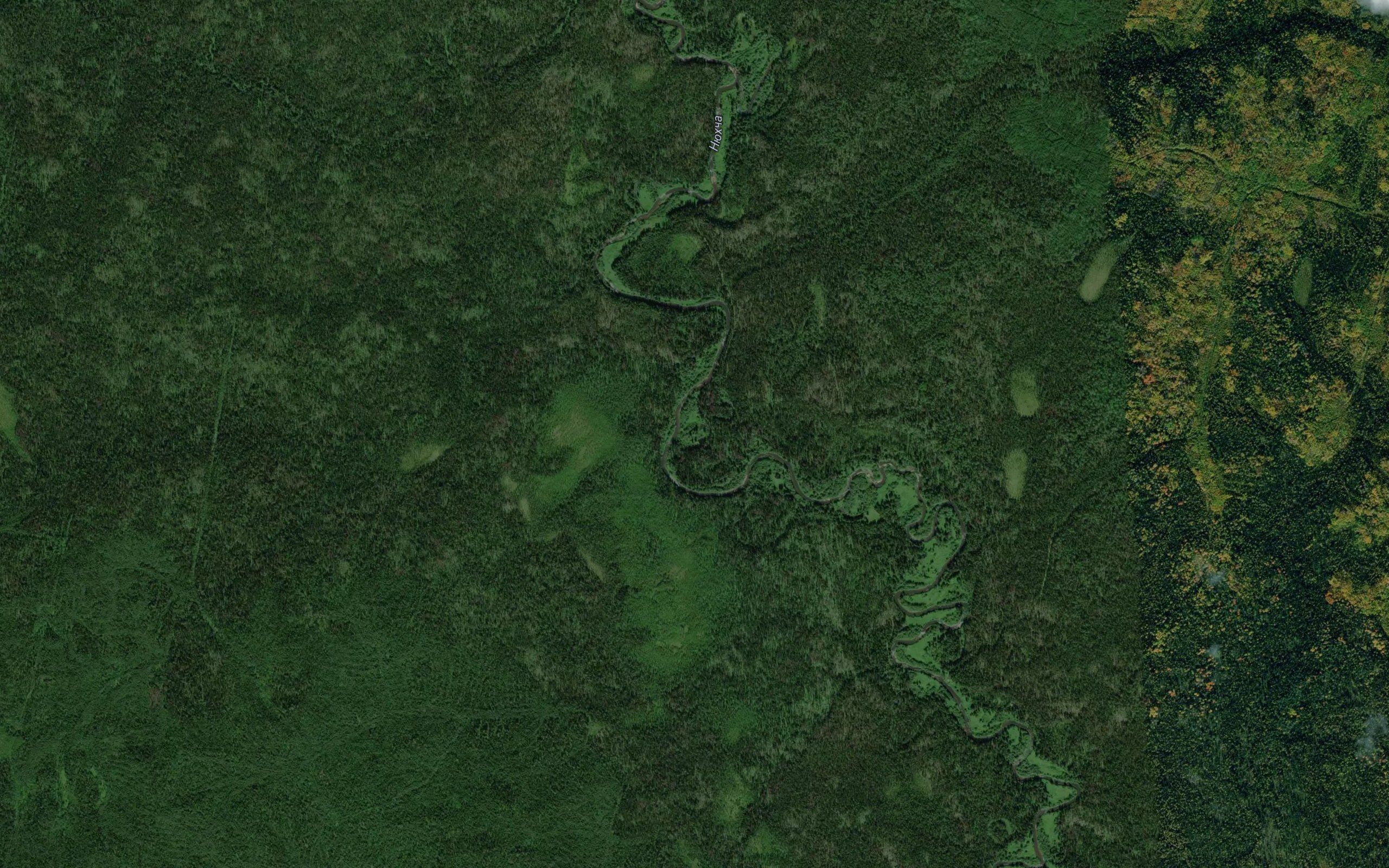 Osinov