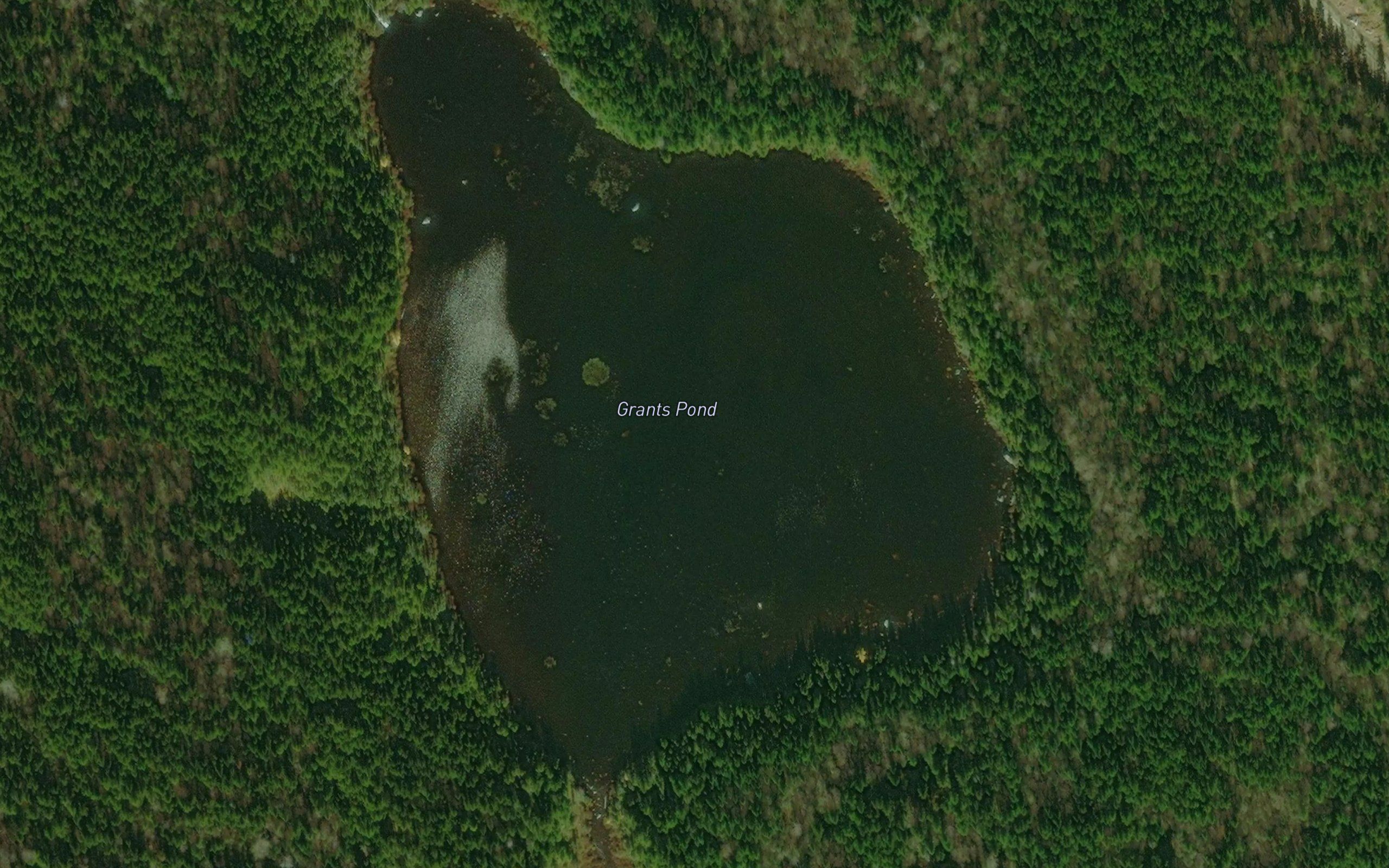 Grants Pond