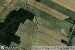 Embranchement du Cordon