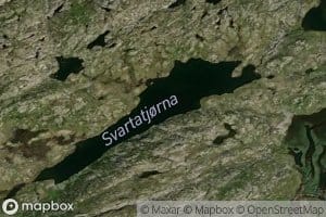 Svartetjorni