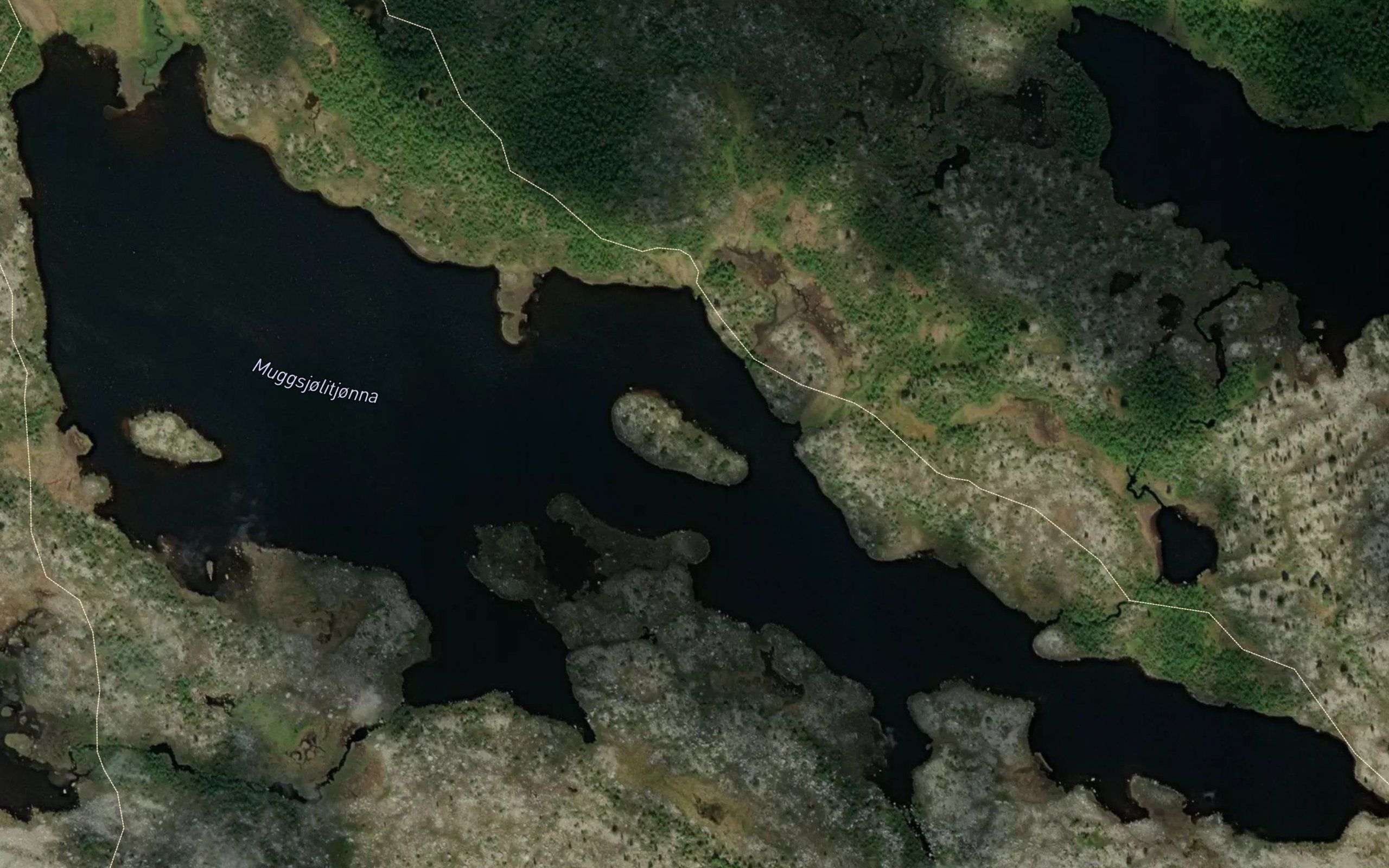 Muggsjolitjorna